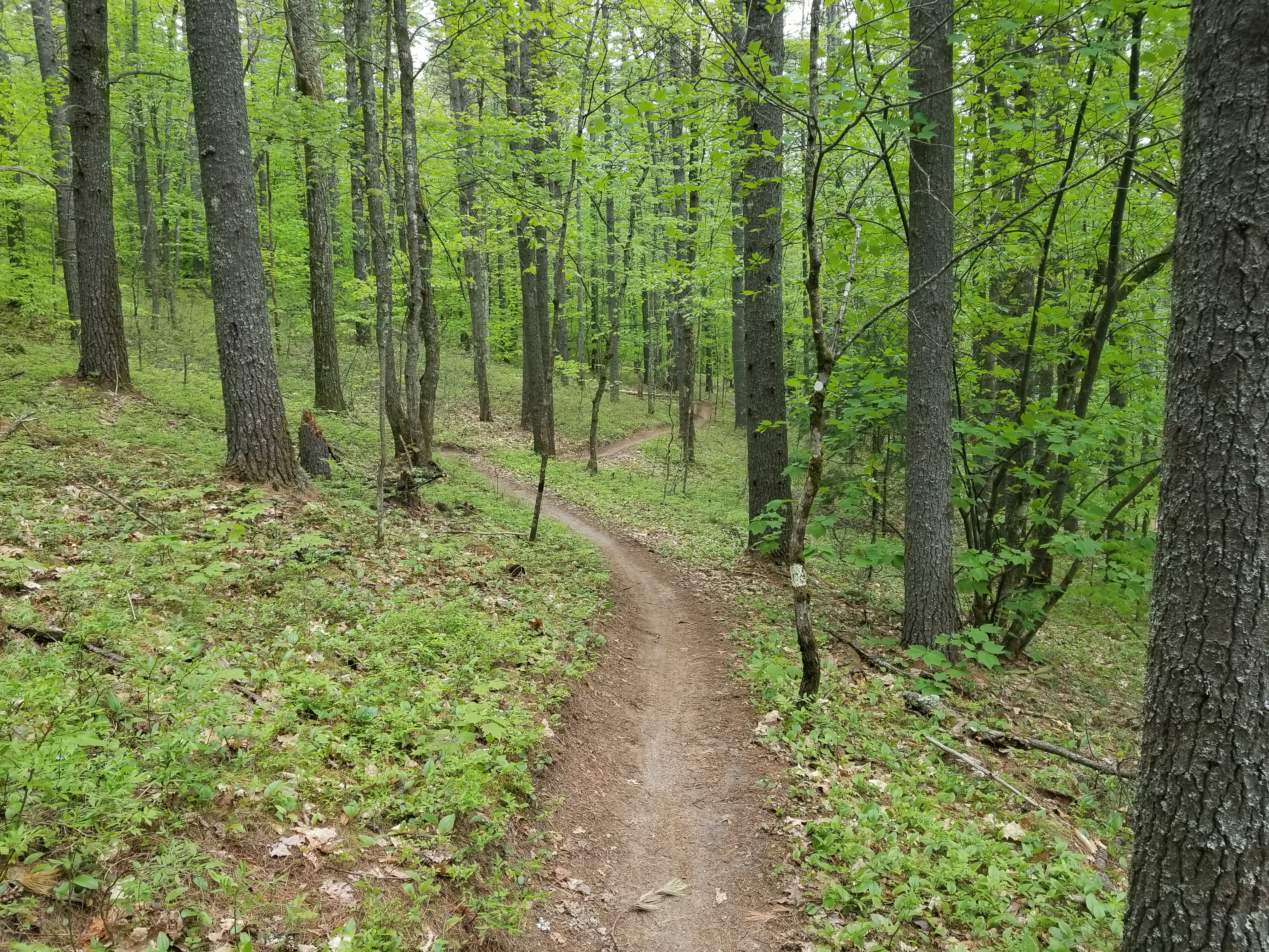 Empty Trail