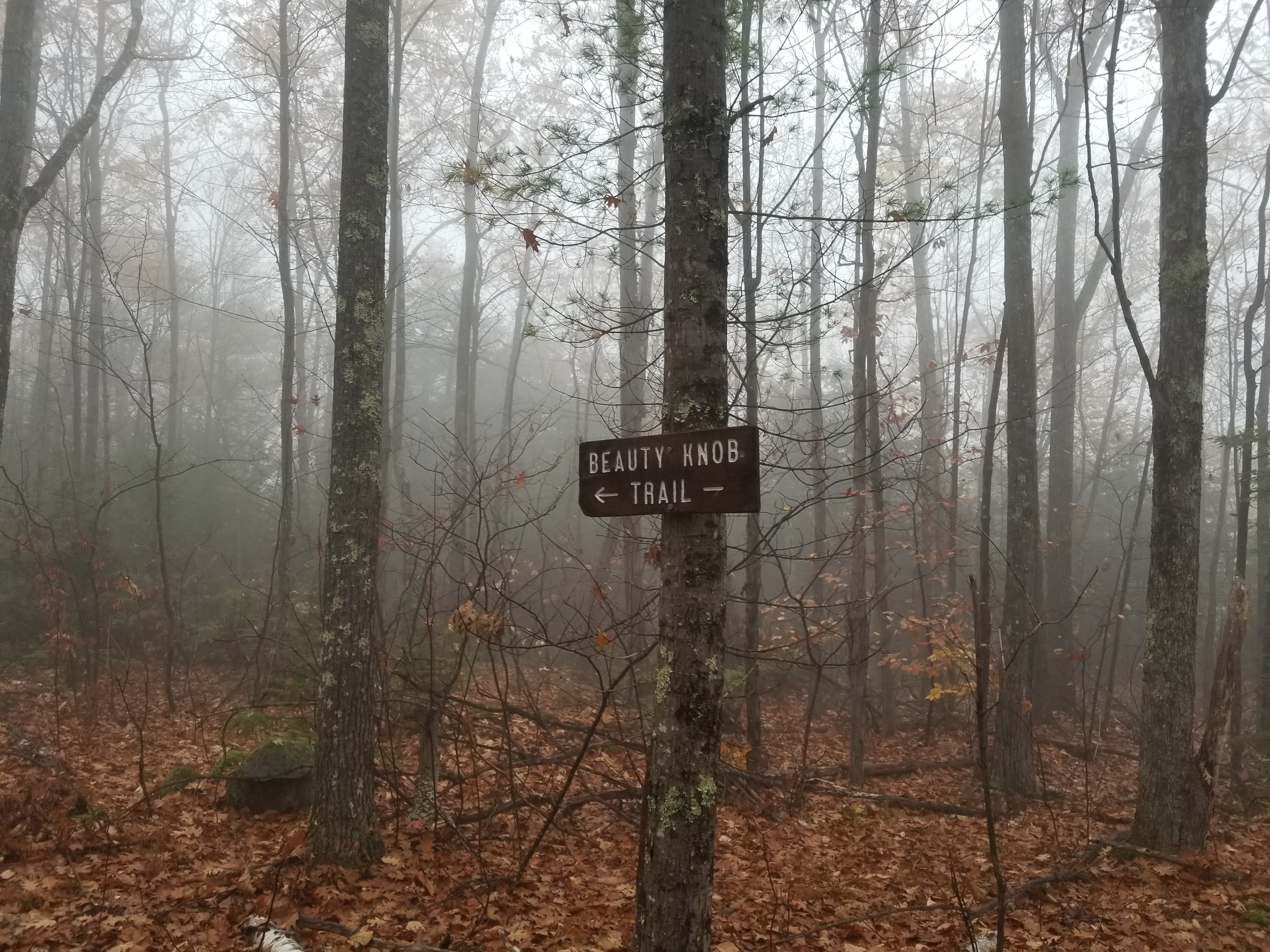 Knob trail sign