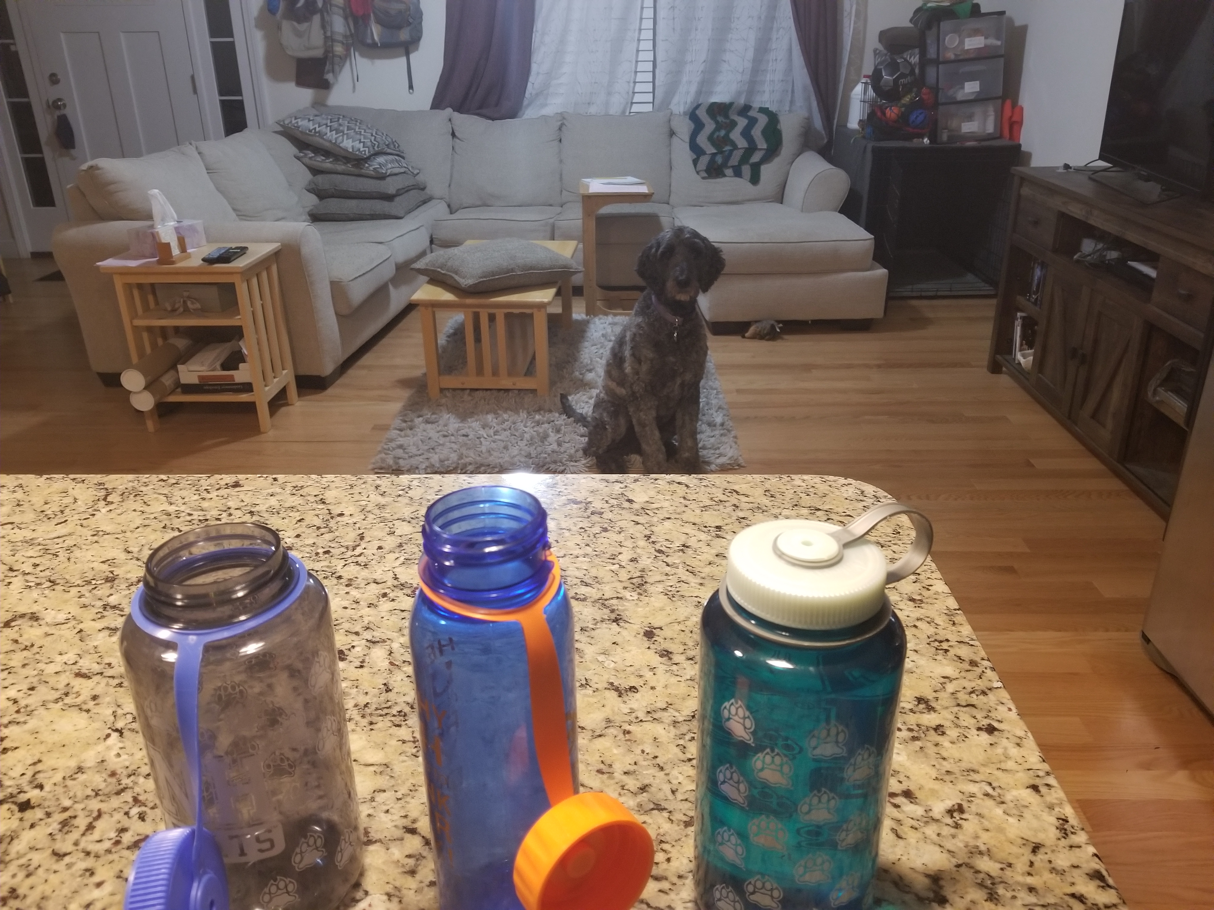 Lana watching me pack