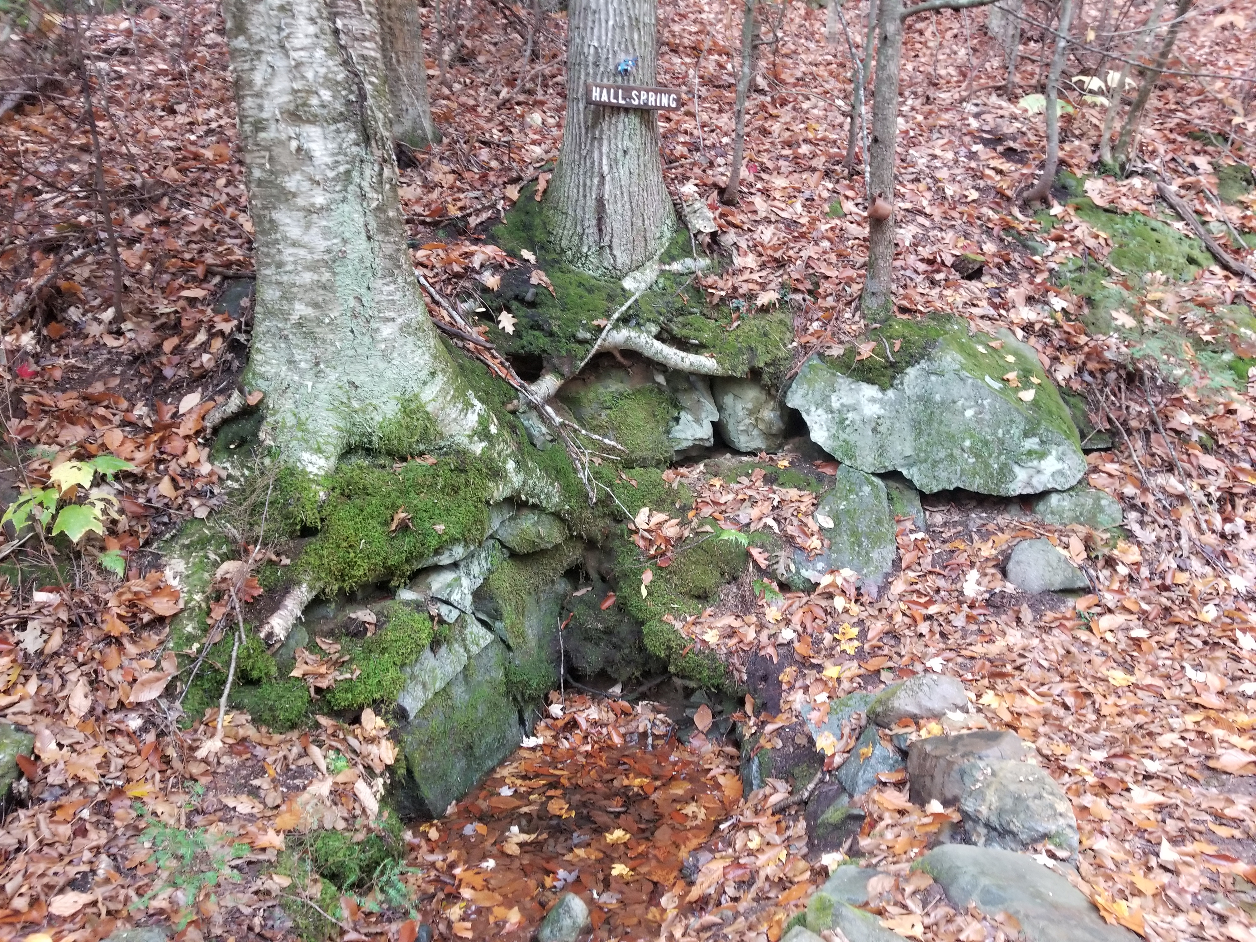 Hall Spring