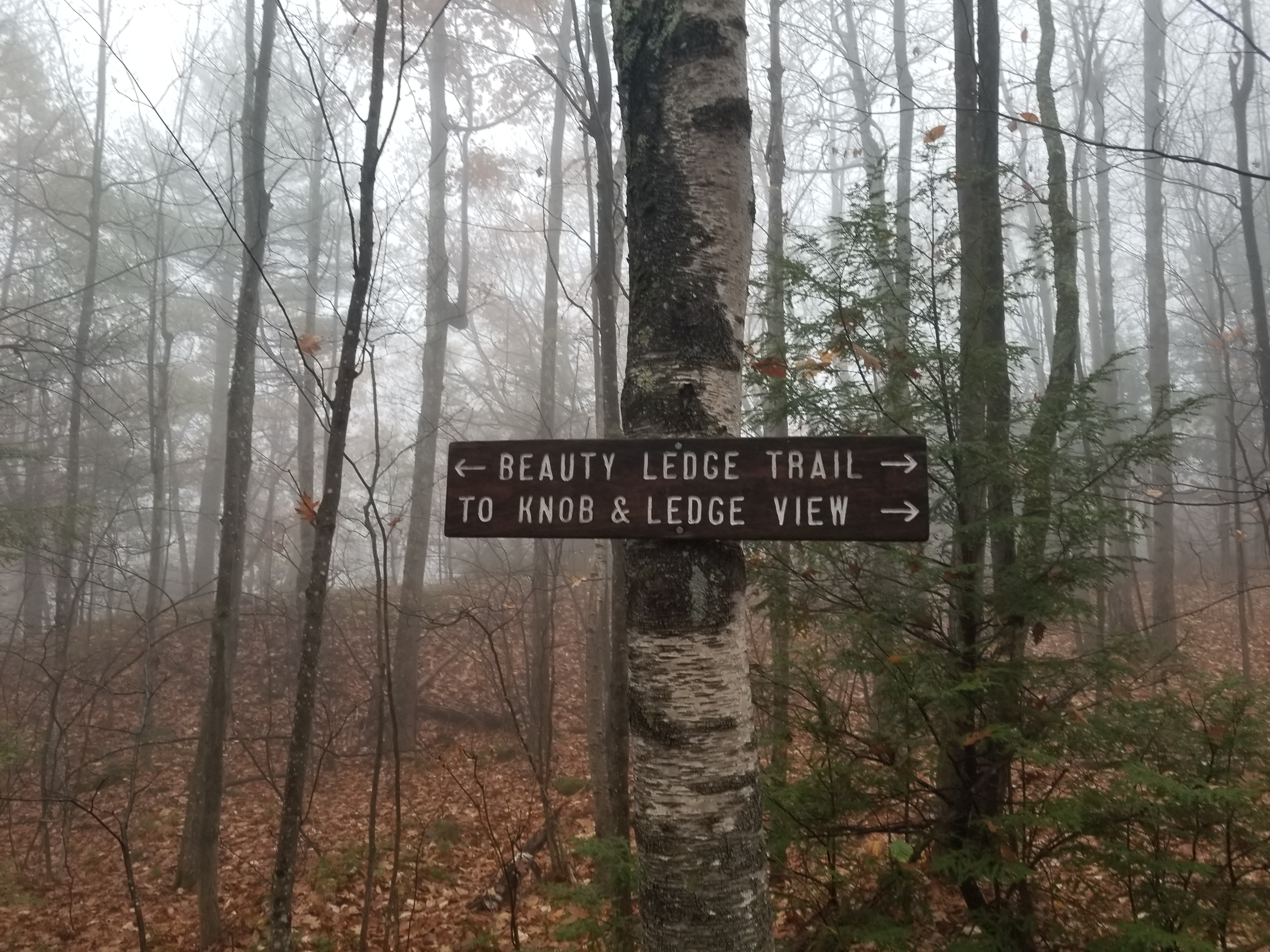 Trail split sign