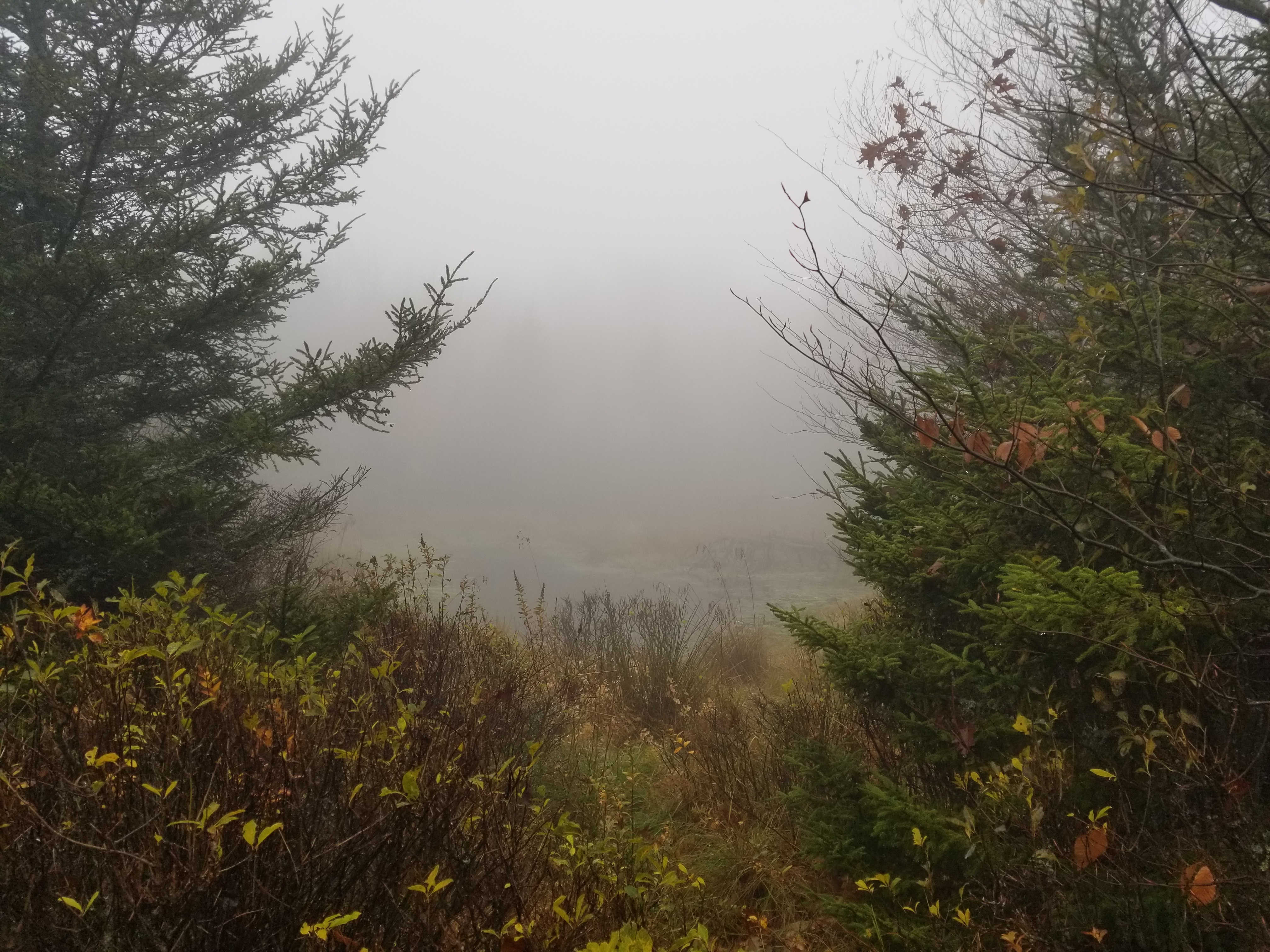 Pond at the summit