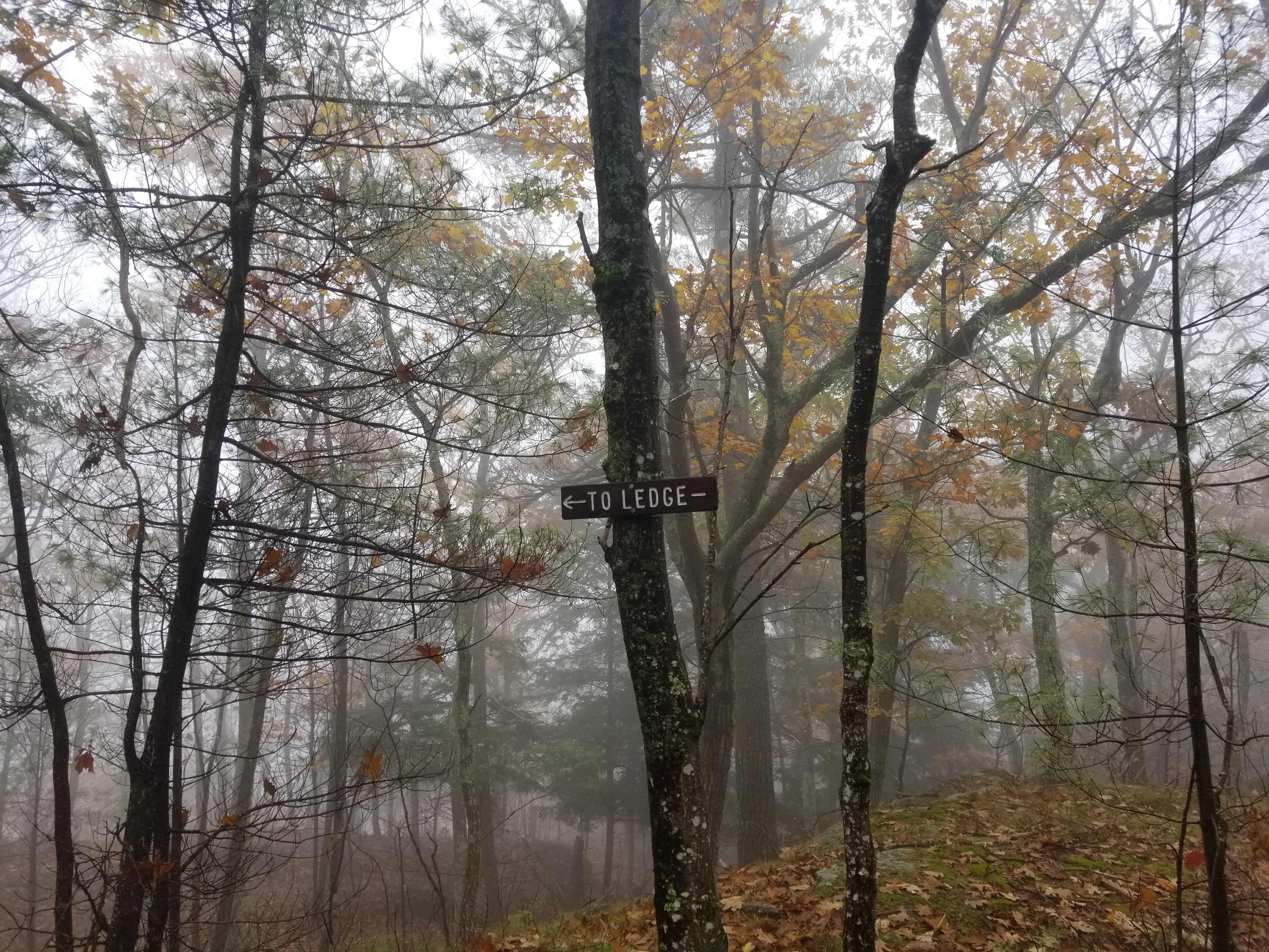 Funny sign - "To Ledge"