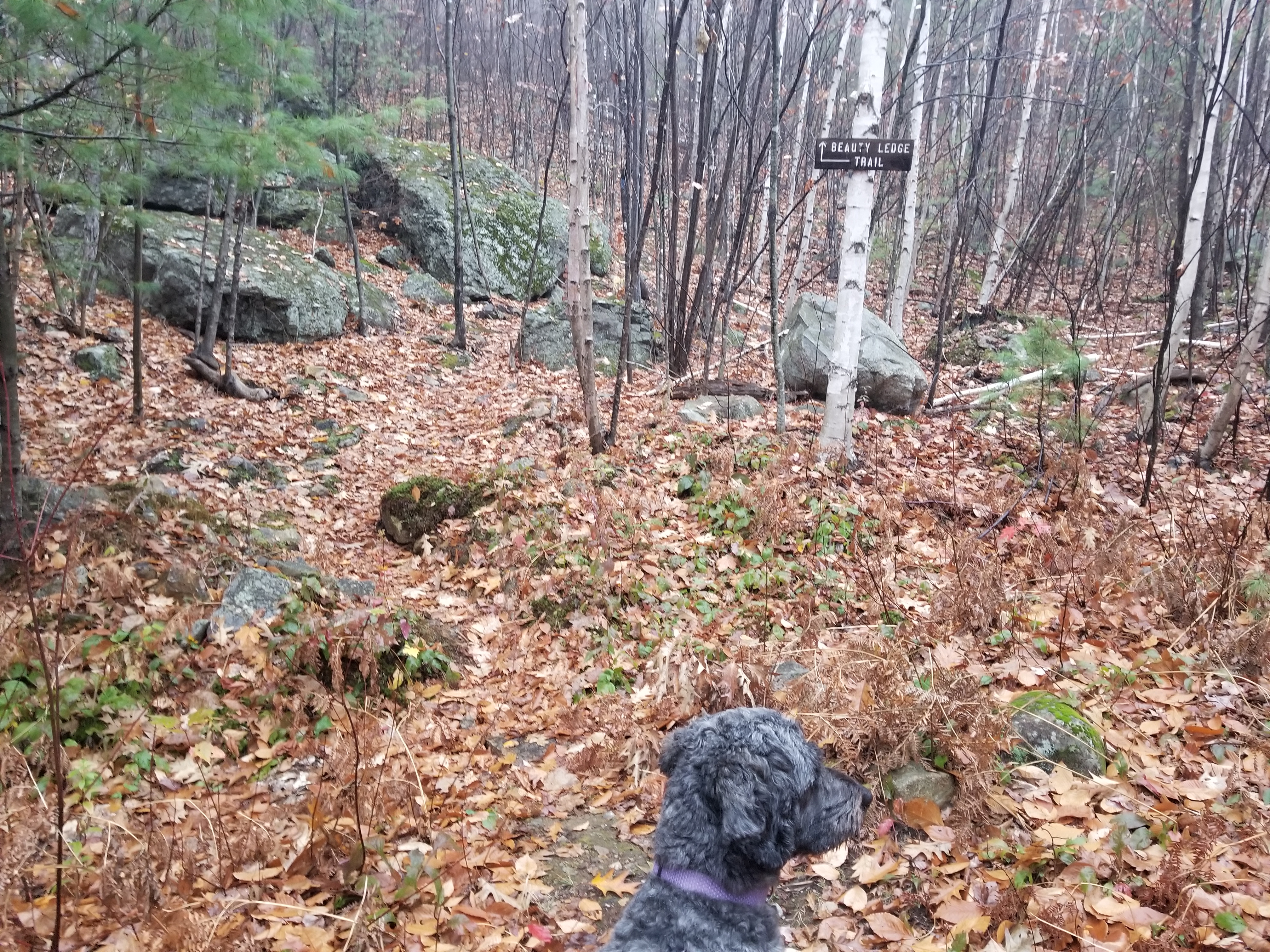 Start of the ledge trail