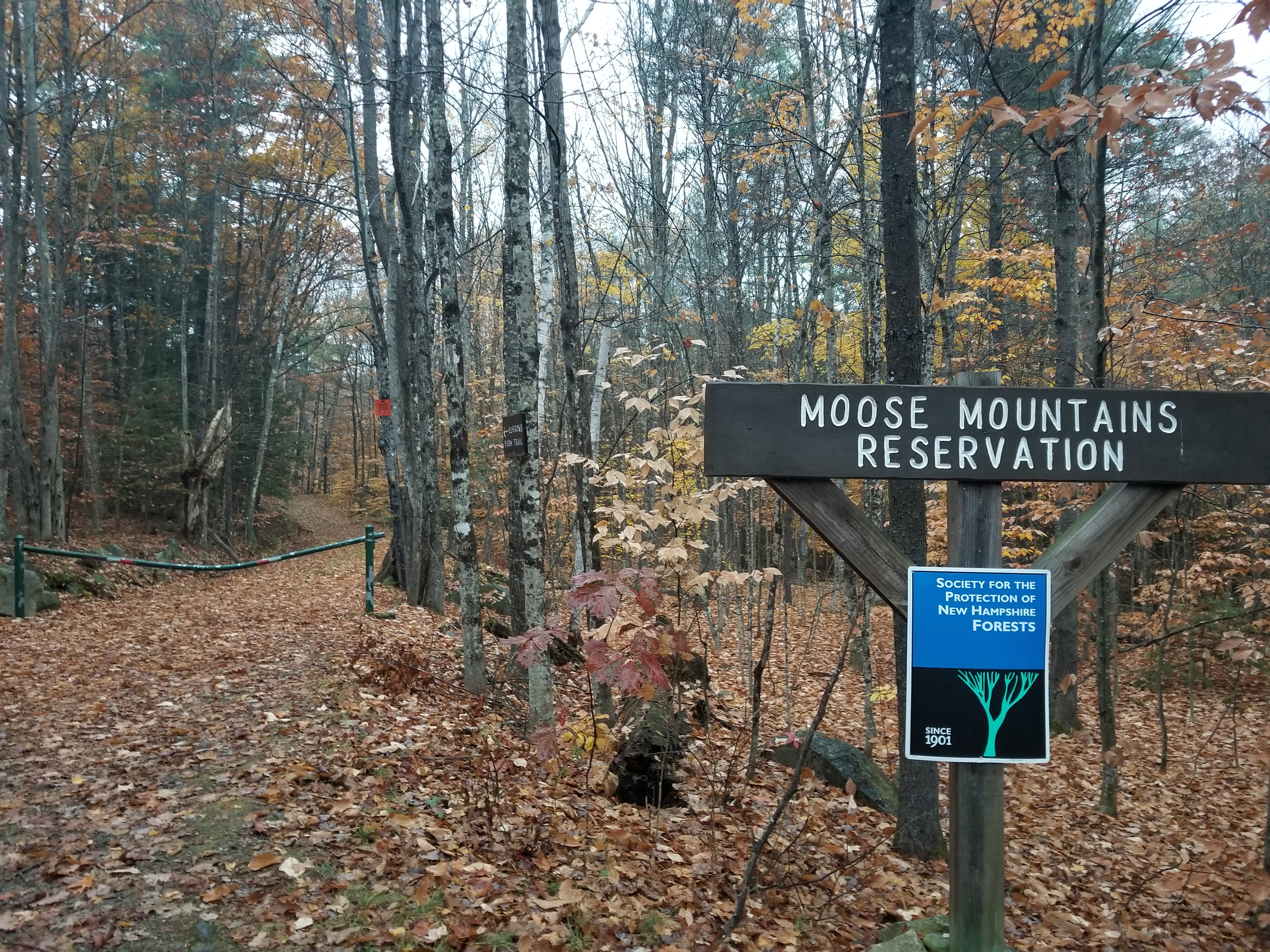 The Trailhead