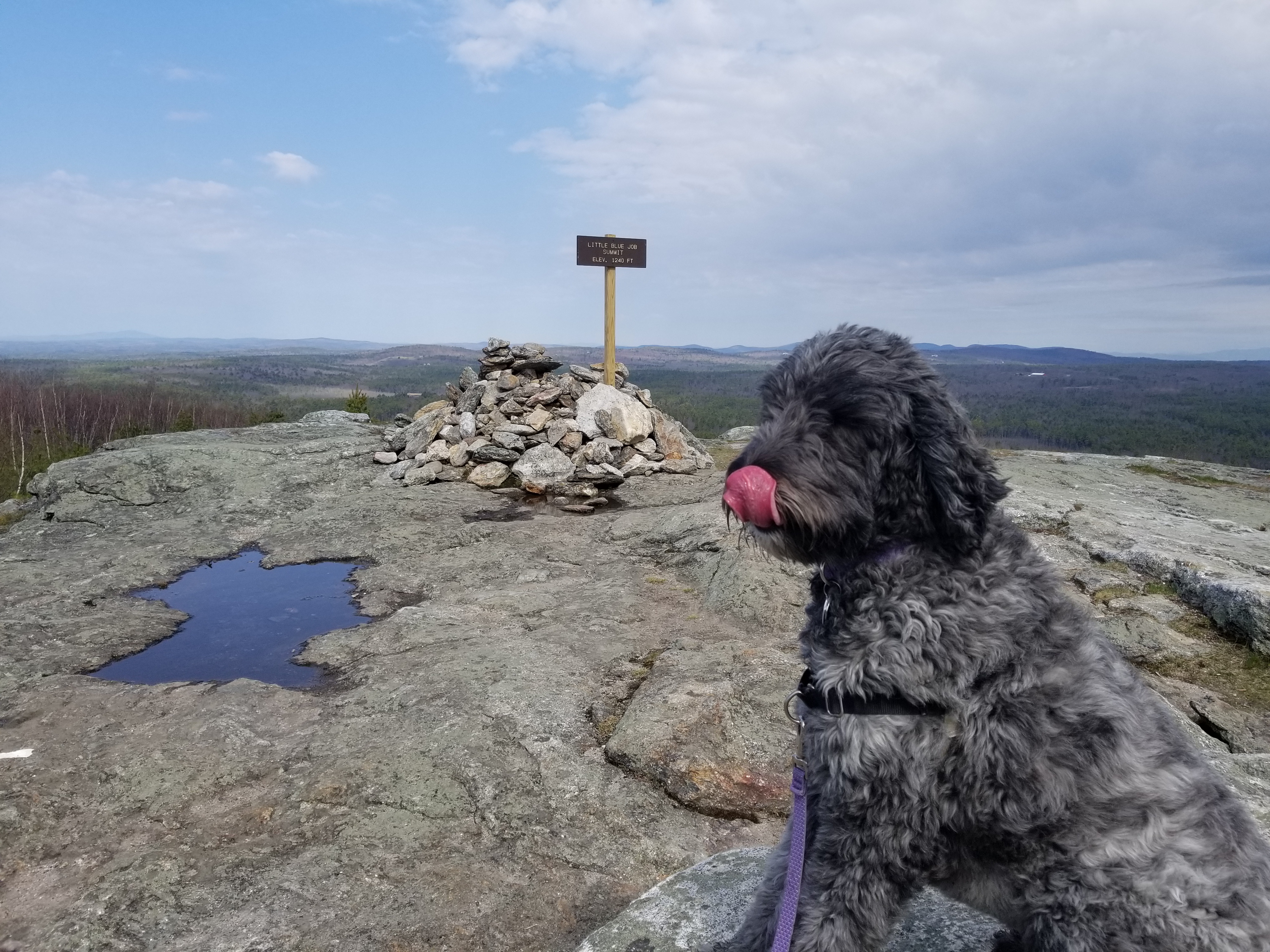 Second Summit