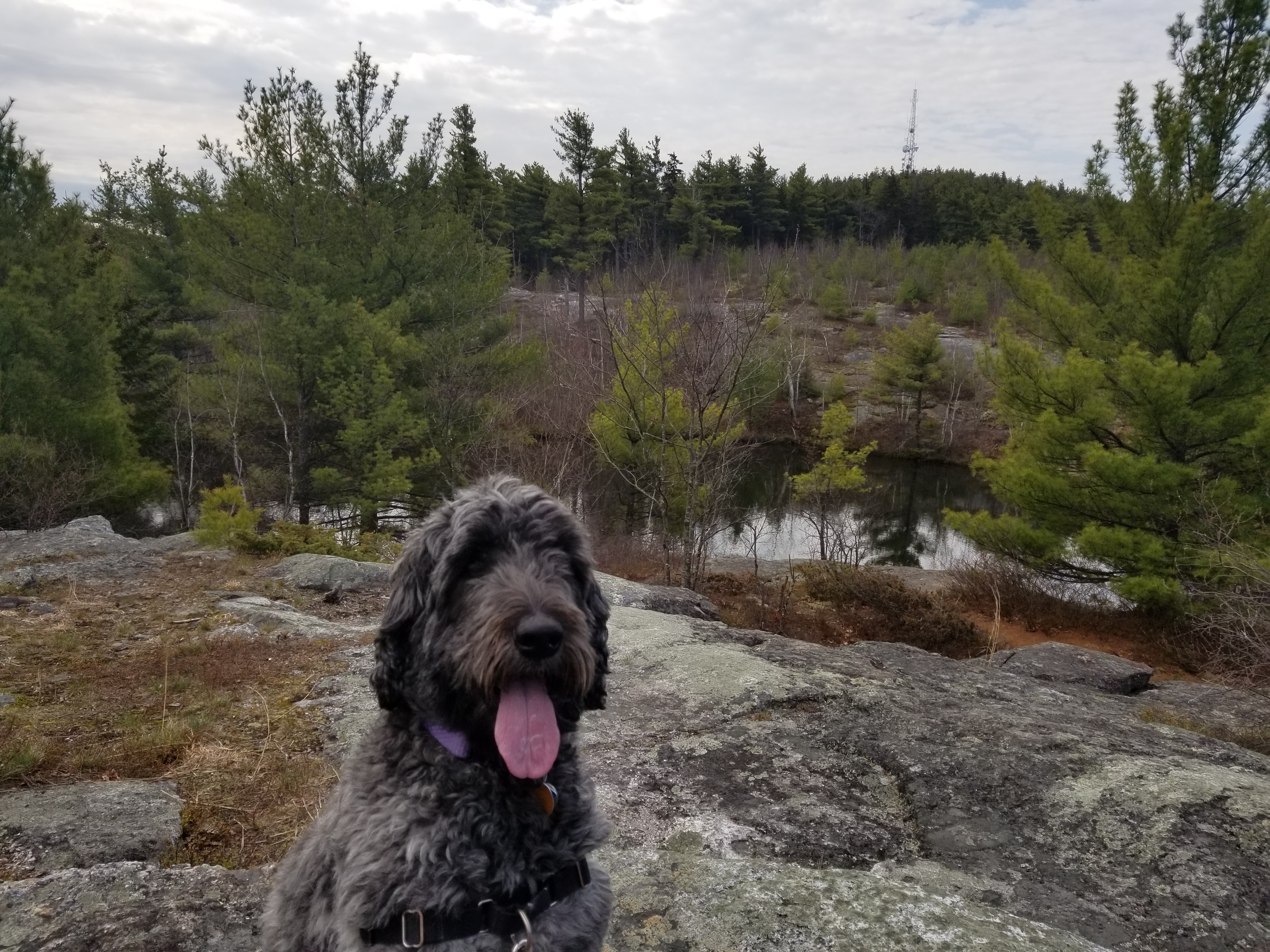 Pond on the ridge