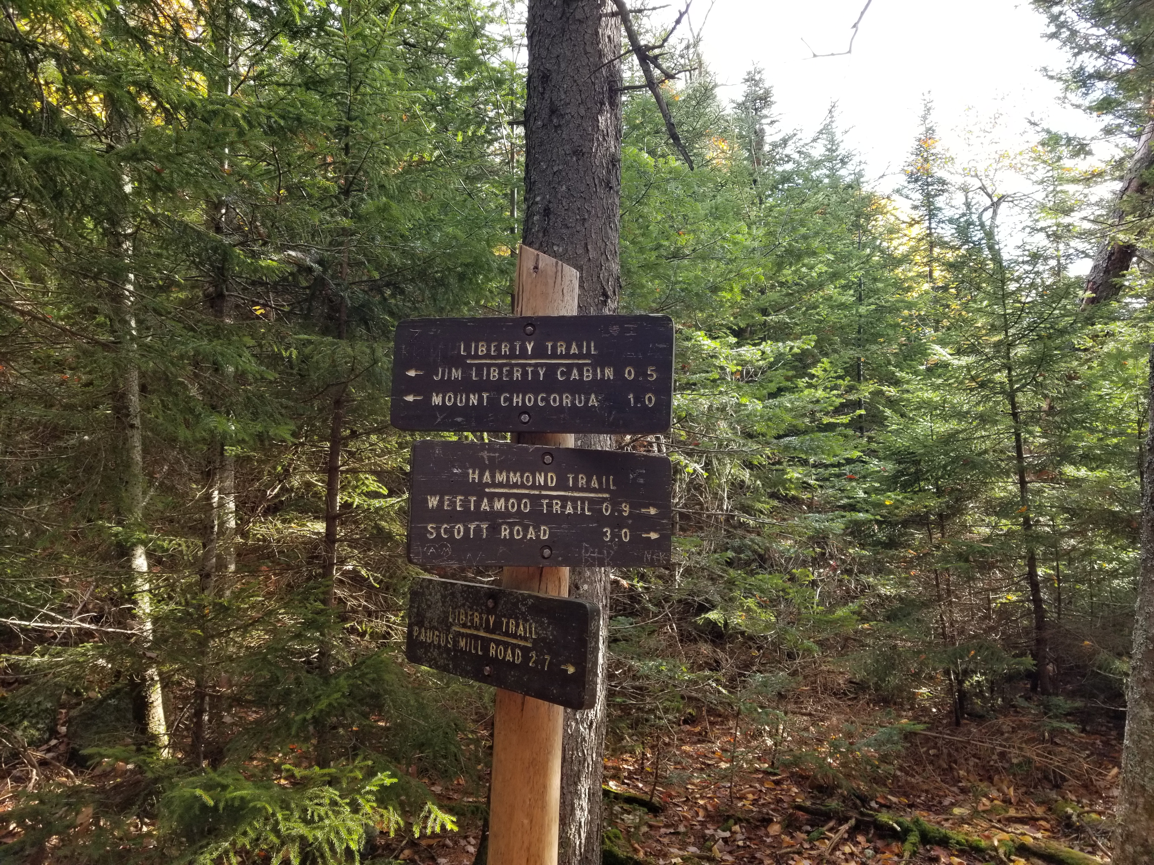 Hammond Trail intersection