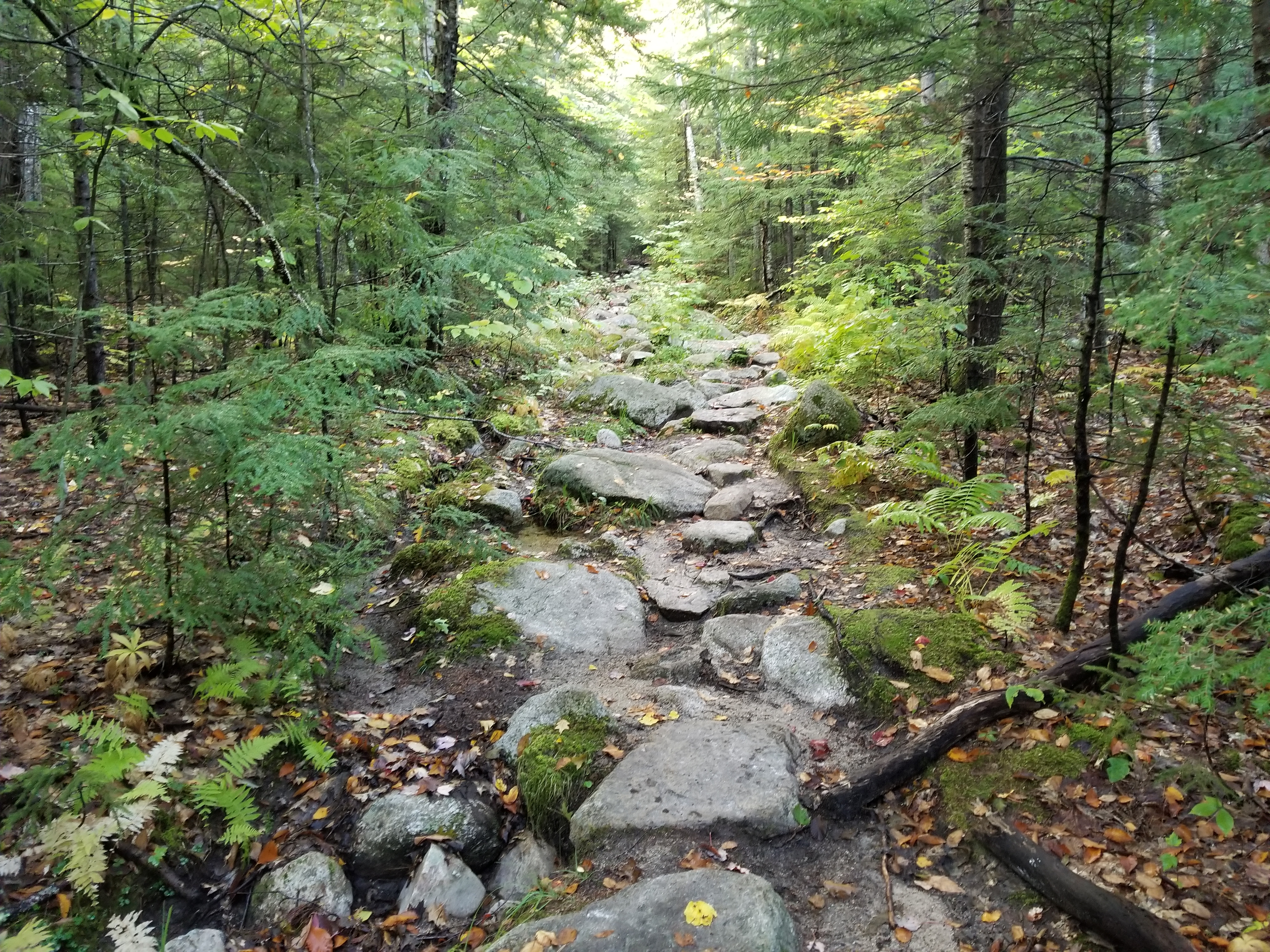 Rocky trail