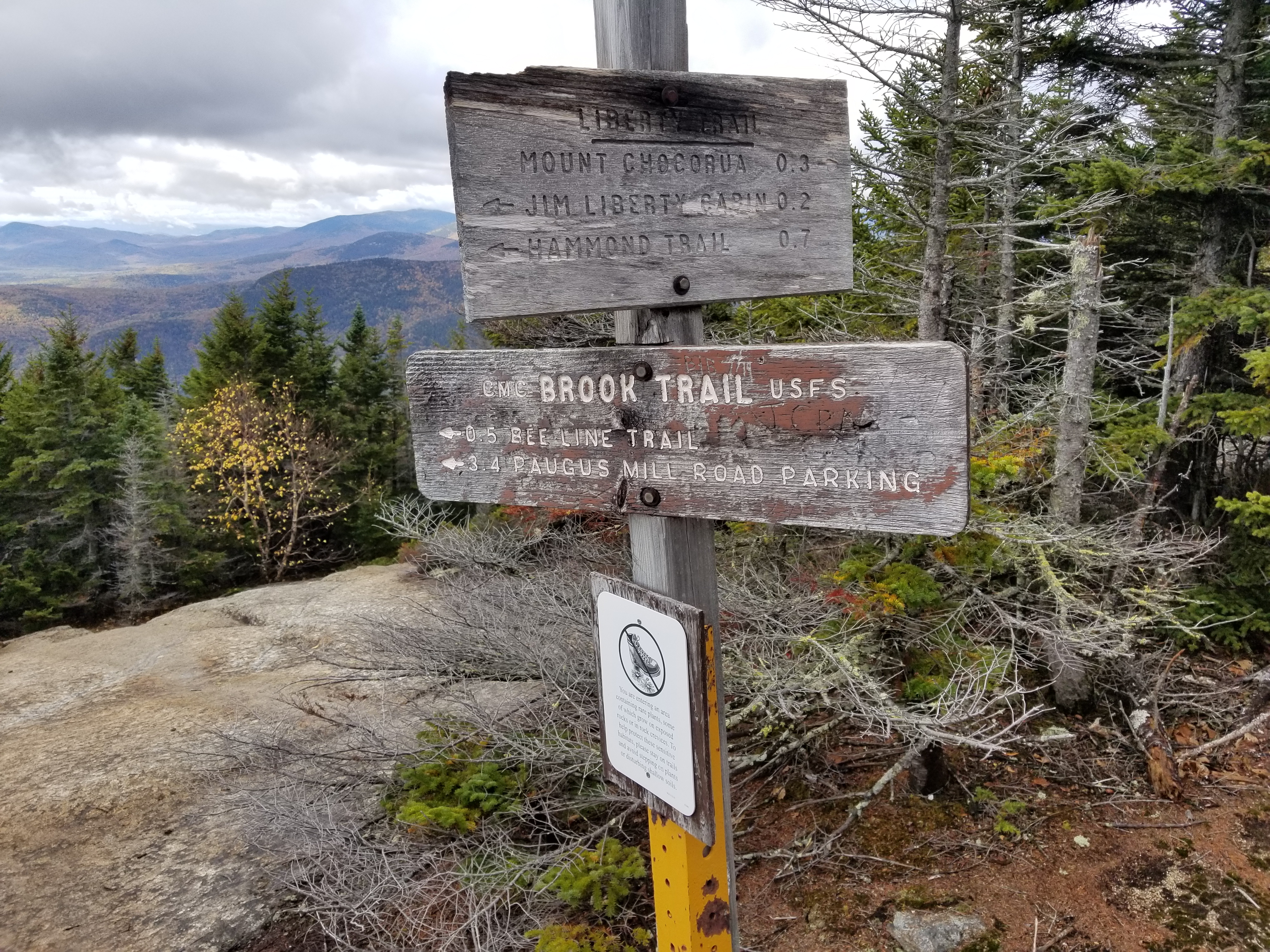 Sign for the Brook Trail intersection
