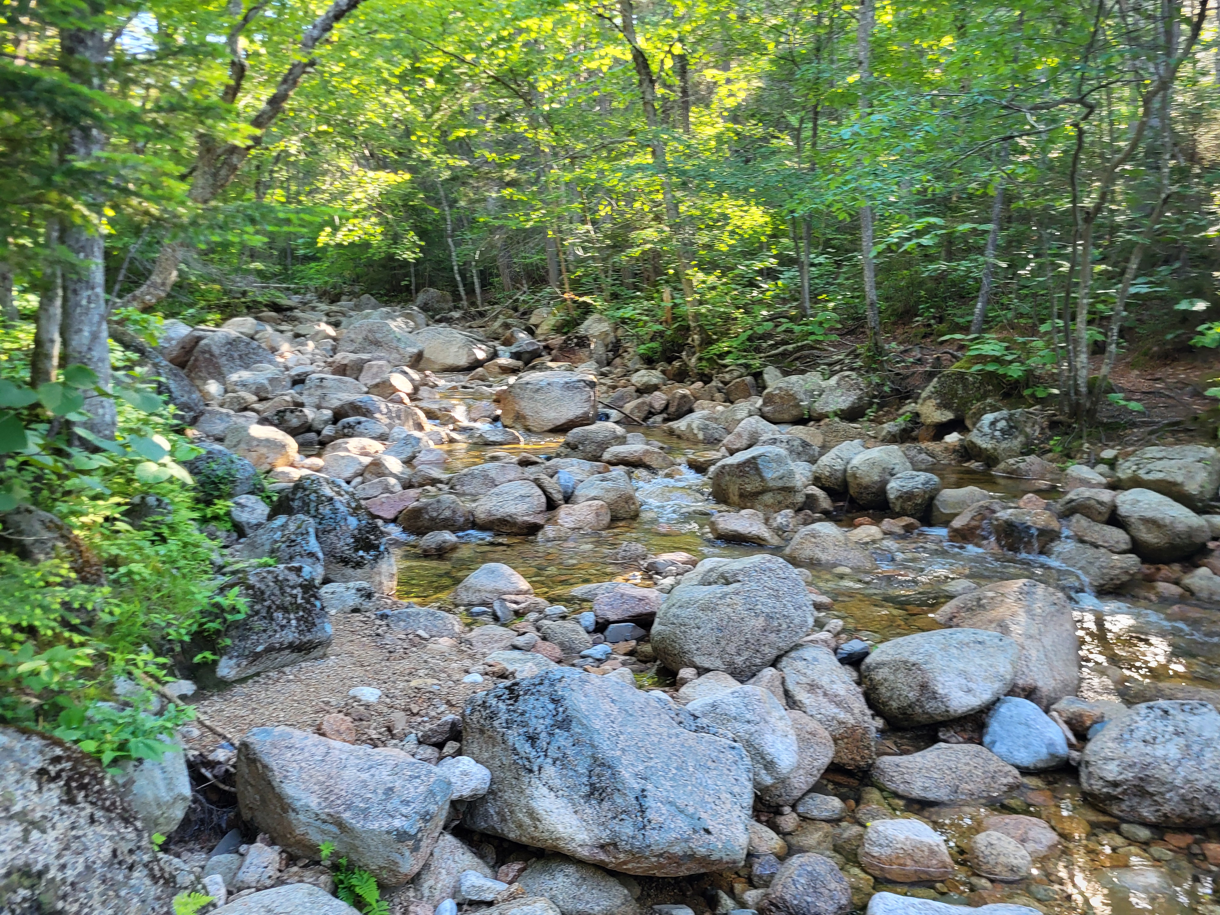 Crossing the brook
