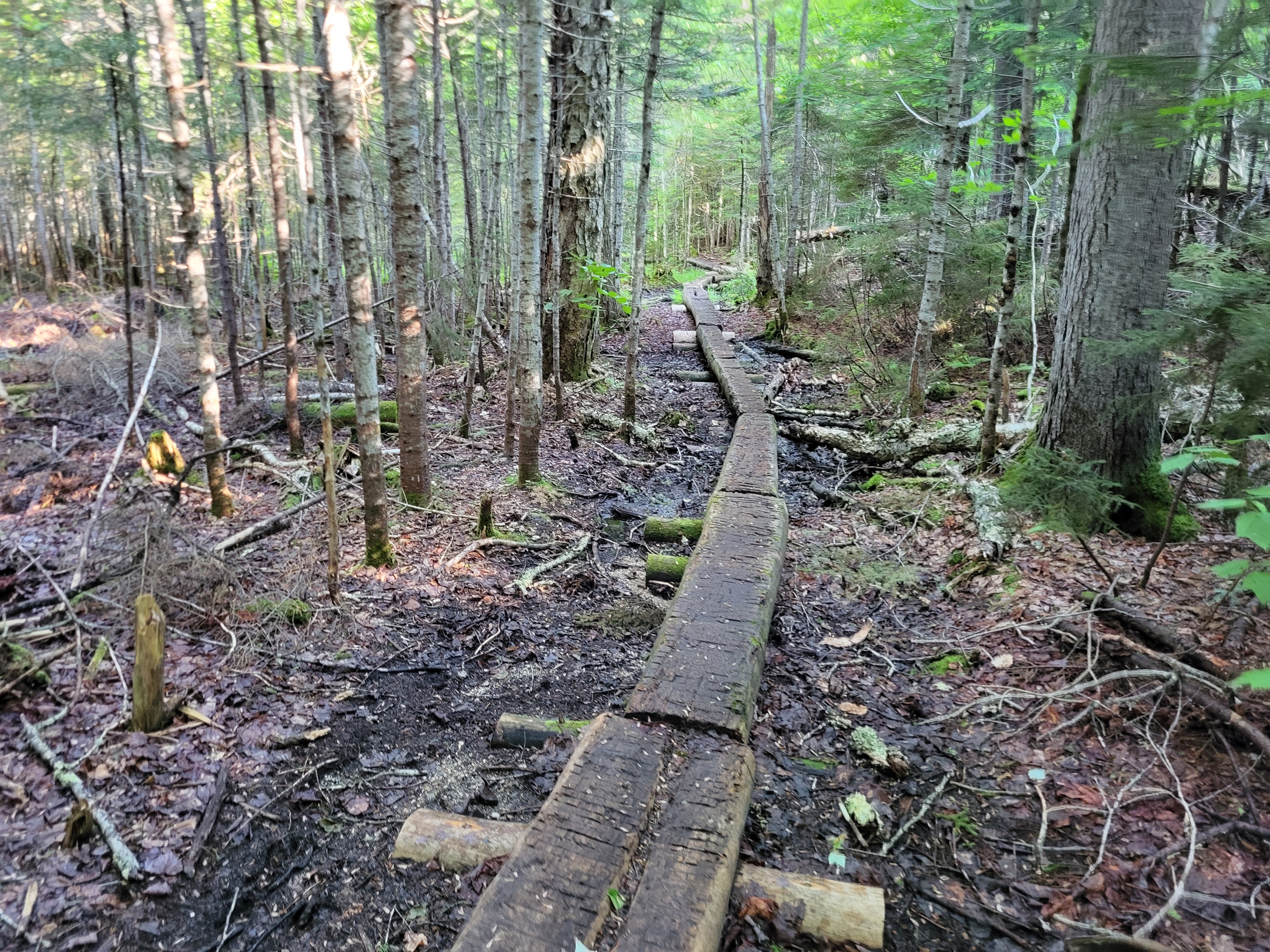 long-plank-bridge