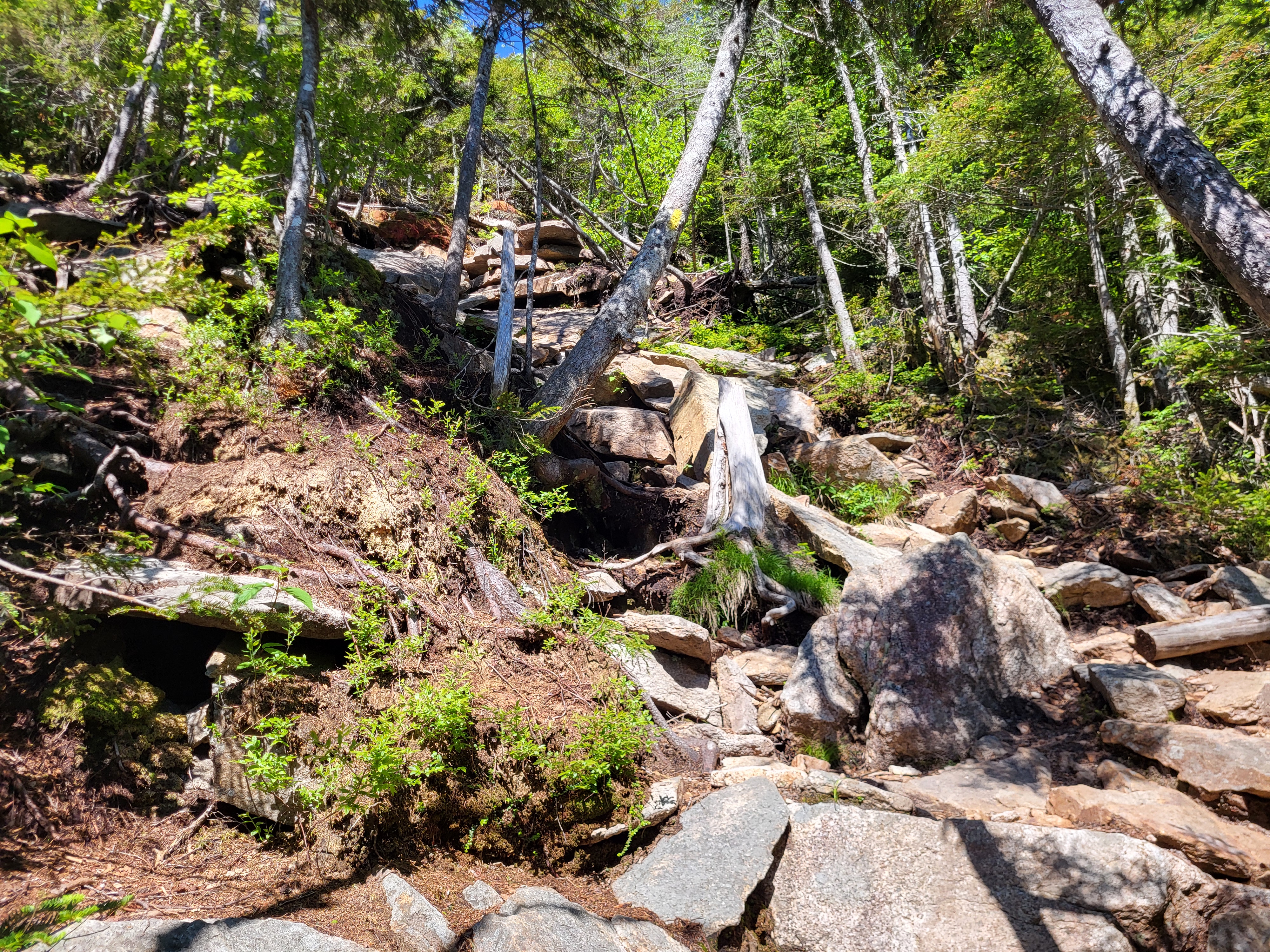 A sample of the rocky ascent