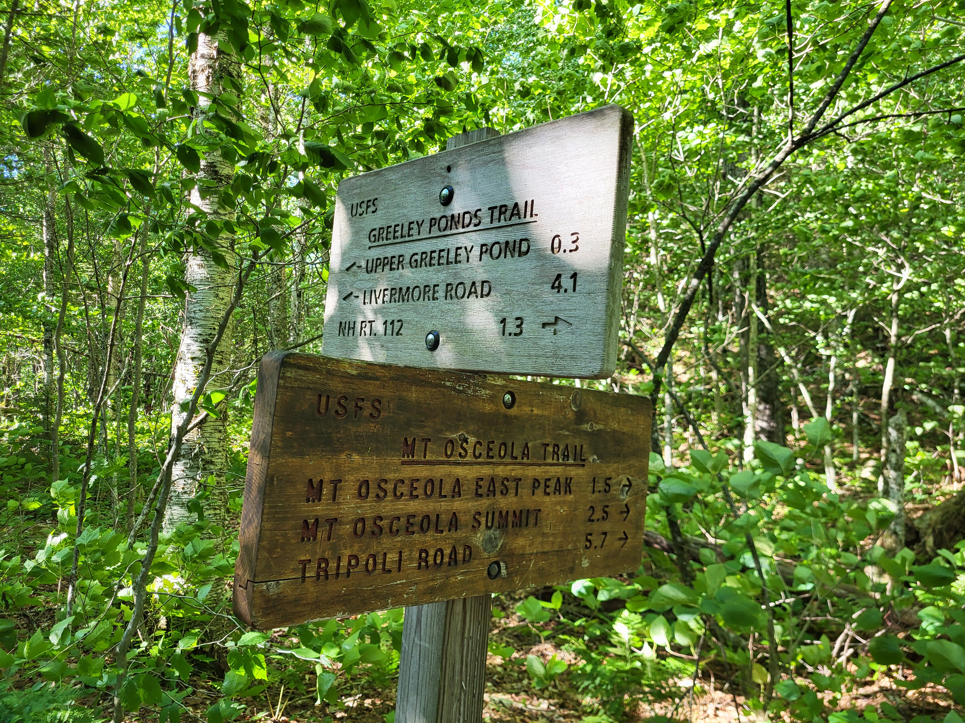 A sign marking the trail intersection