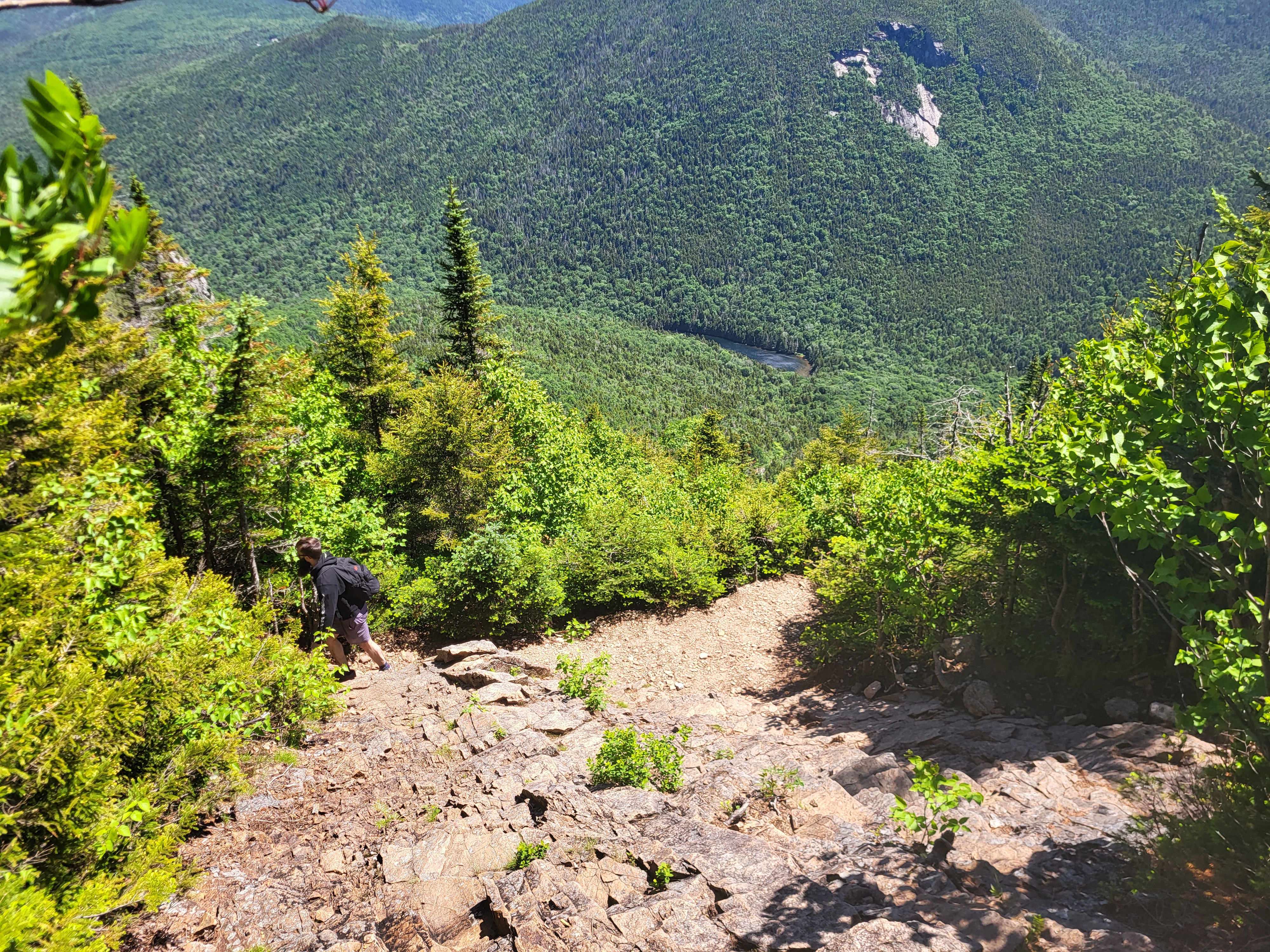 A view from the slab, looking down to the pond