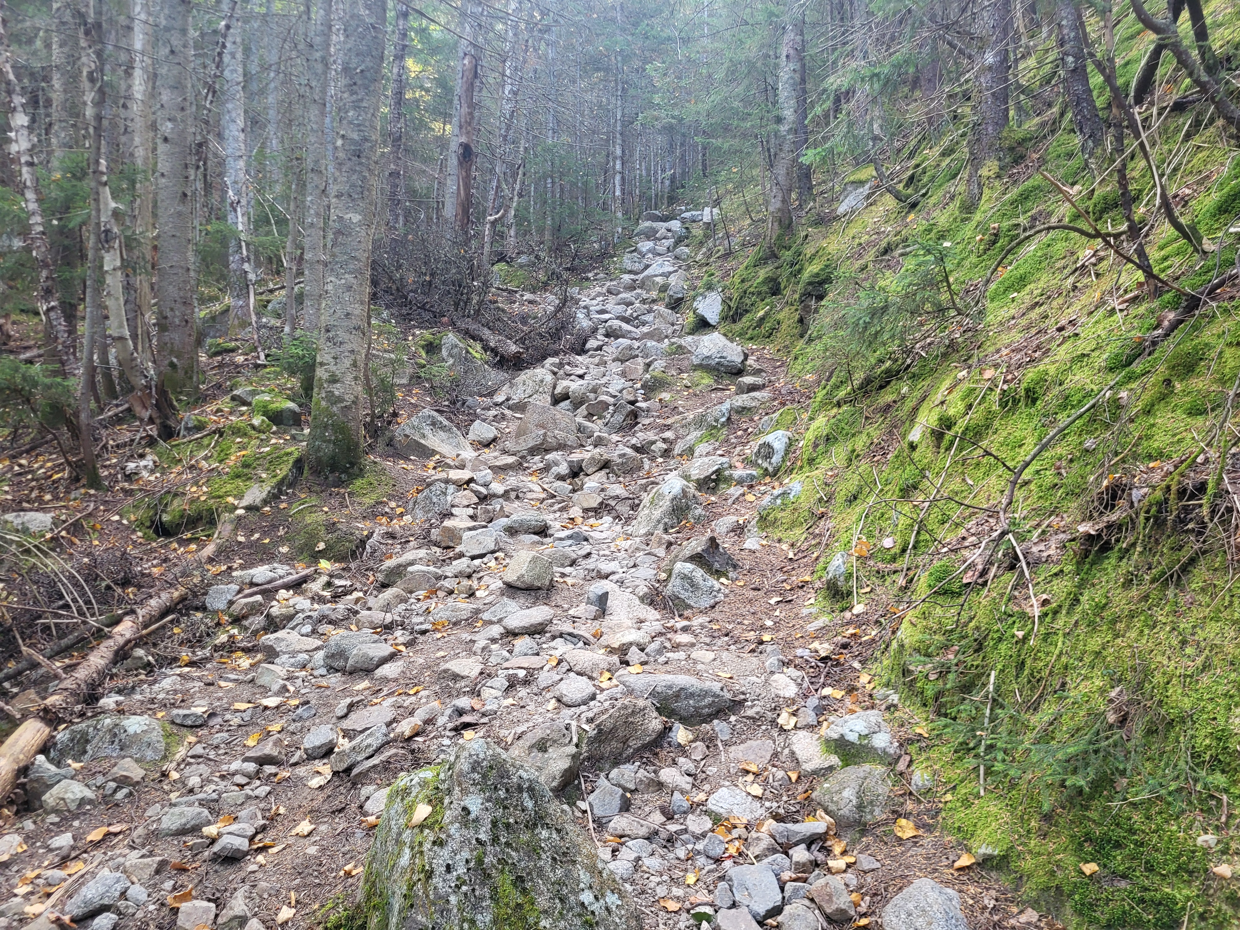 Start of the slide