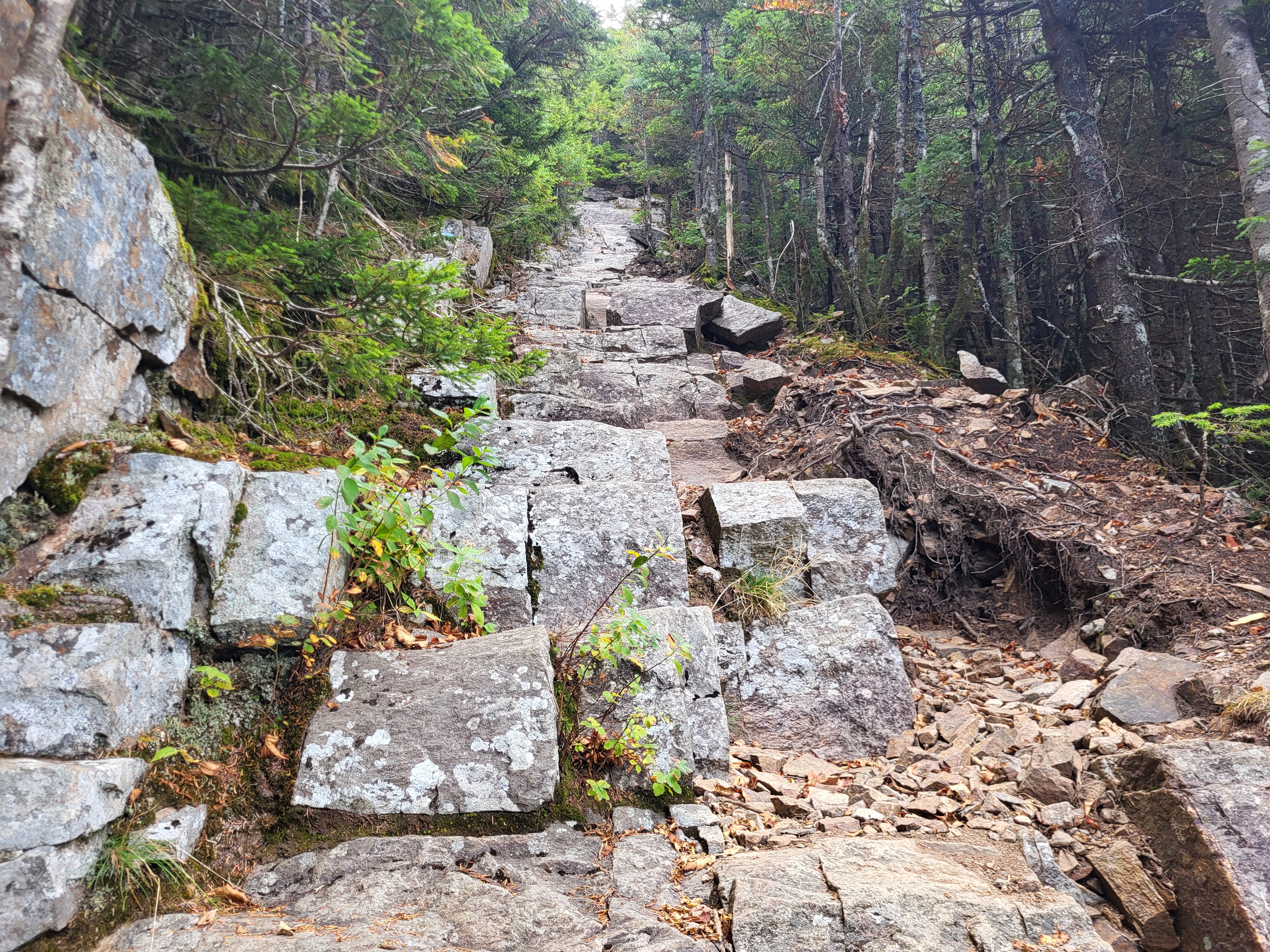 Stair-like portion of the slide