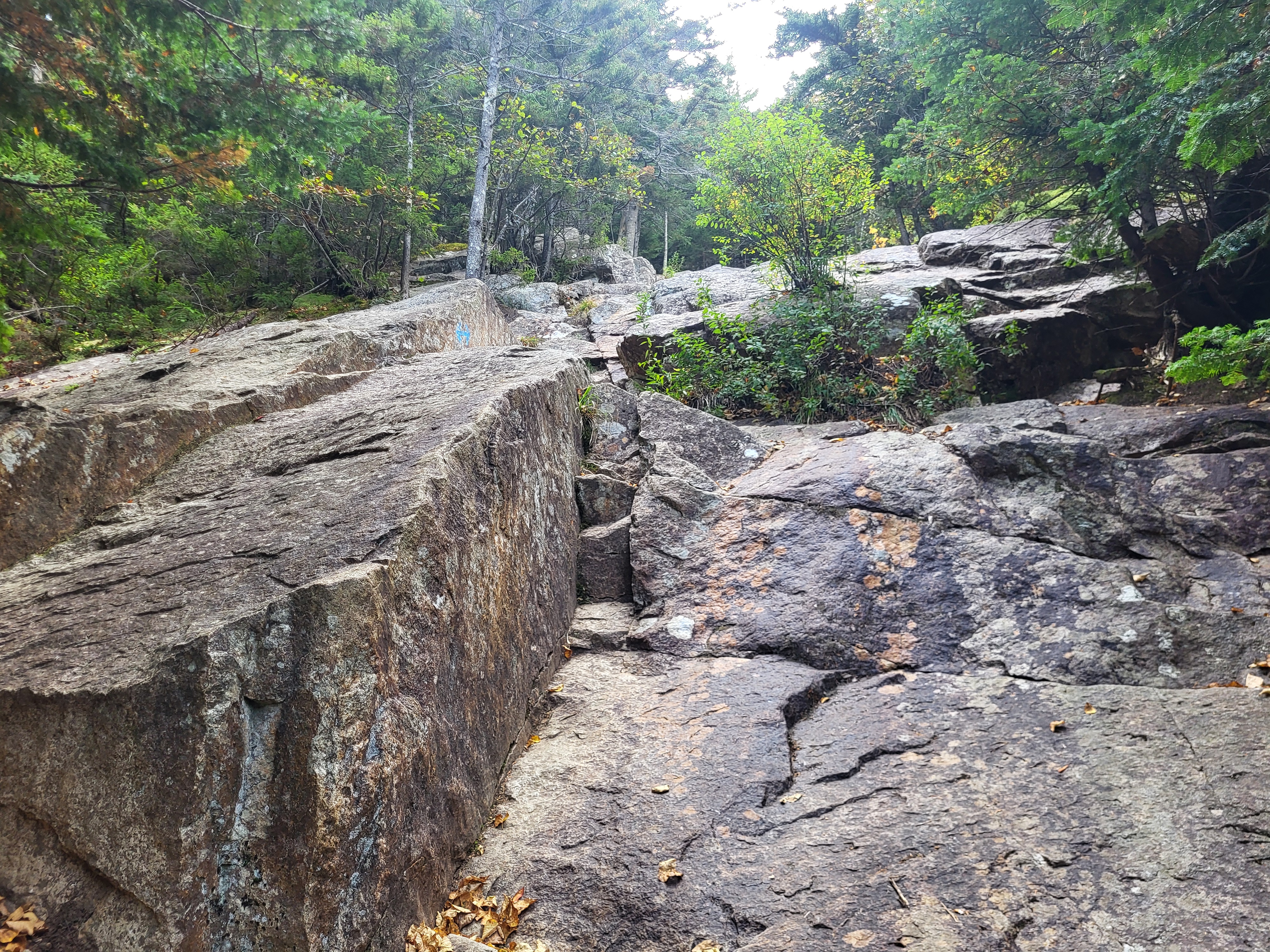 A particularly craggy section of the slide