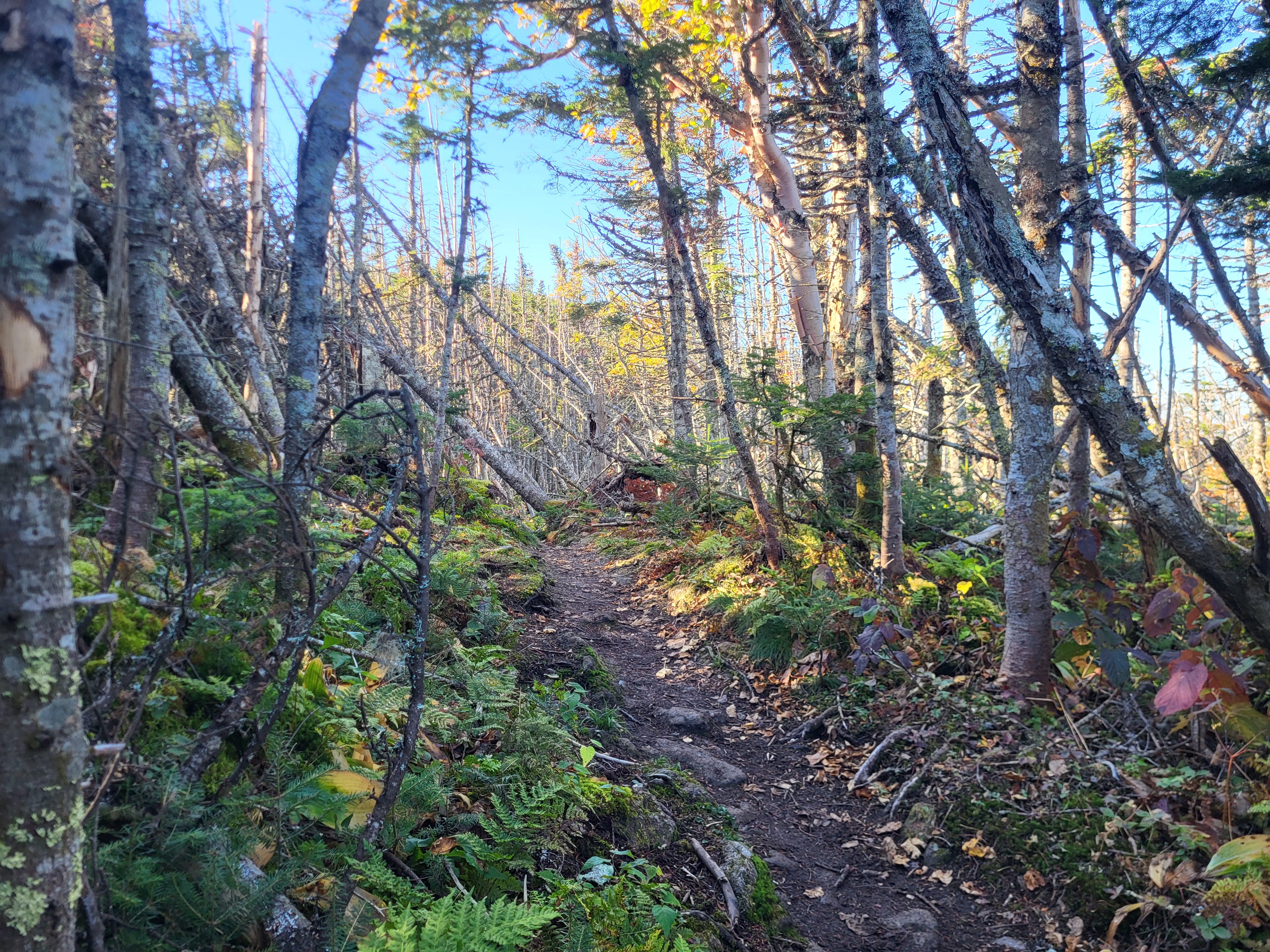 Walking along the ridge towards the summit