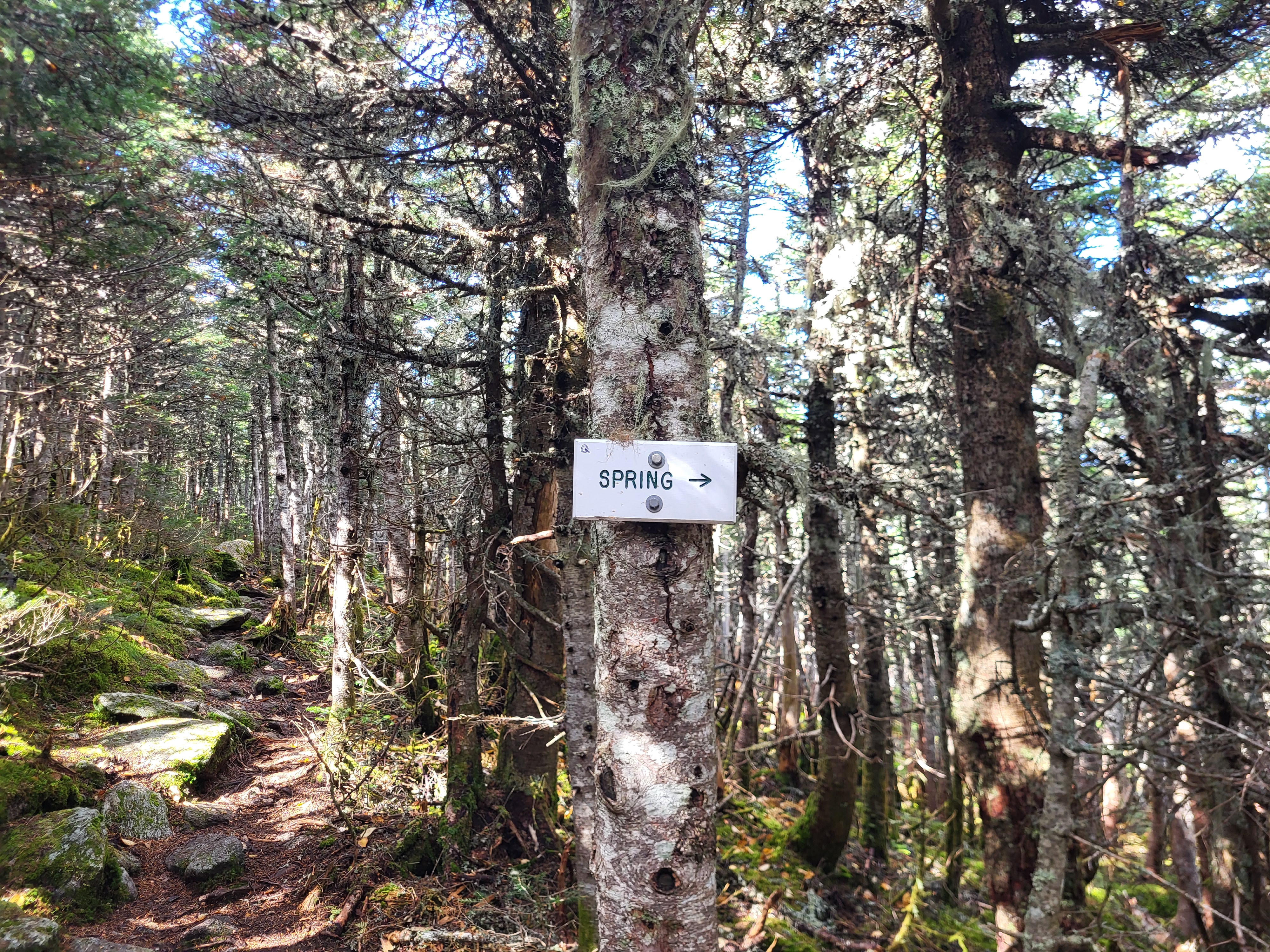 A fortuitous sign for a spring