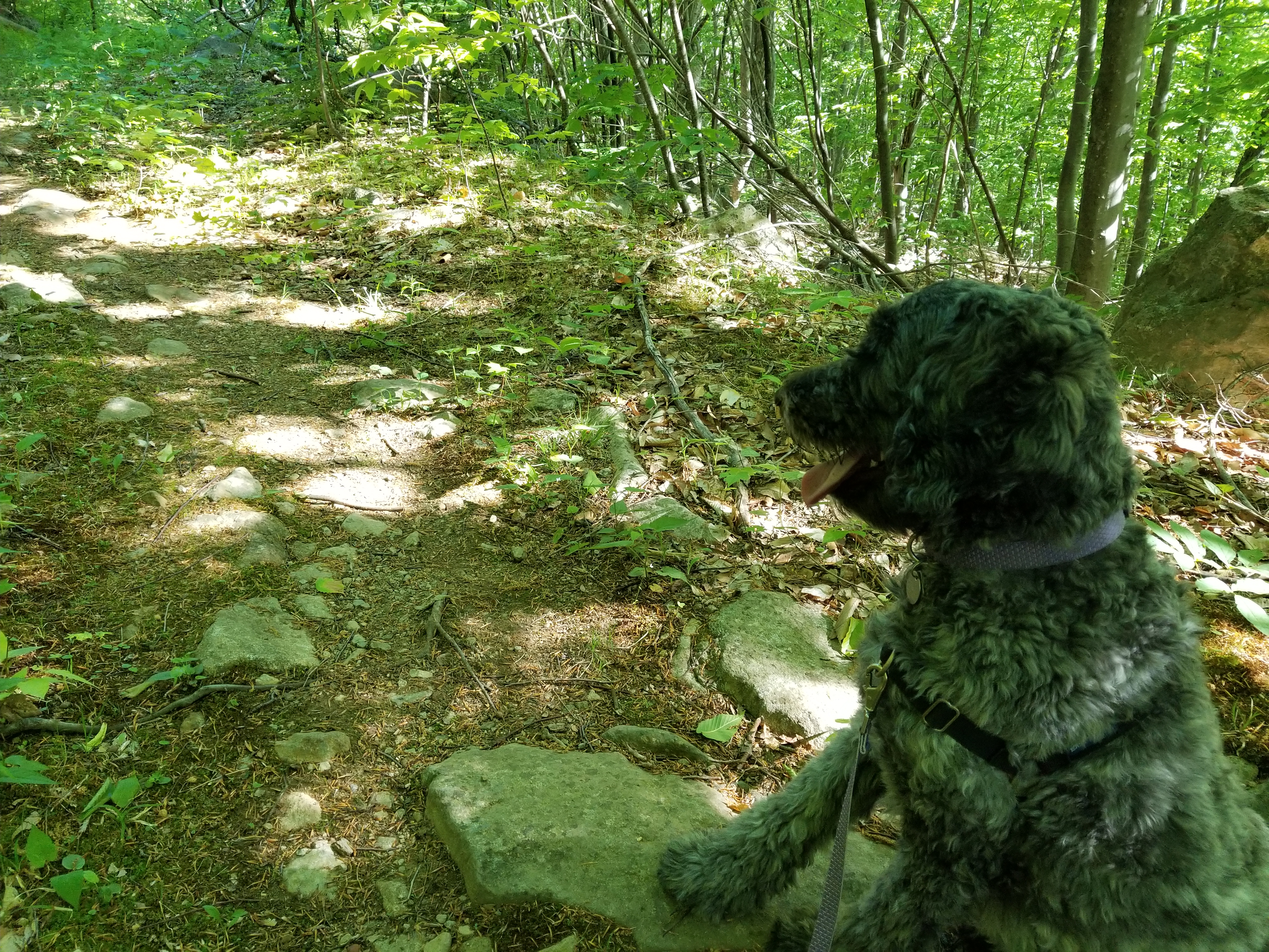 Lana on trail