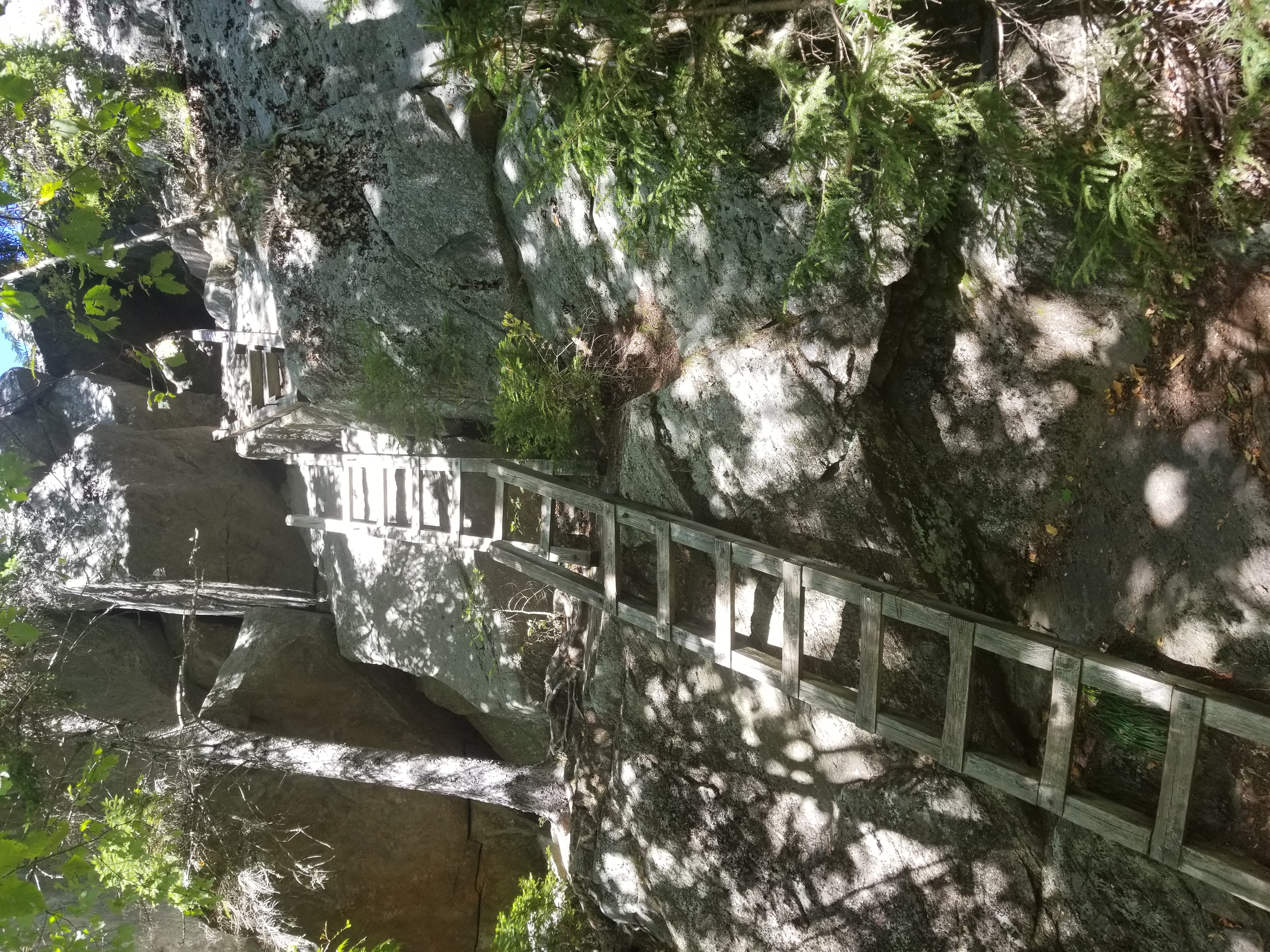The ladders, from below