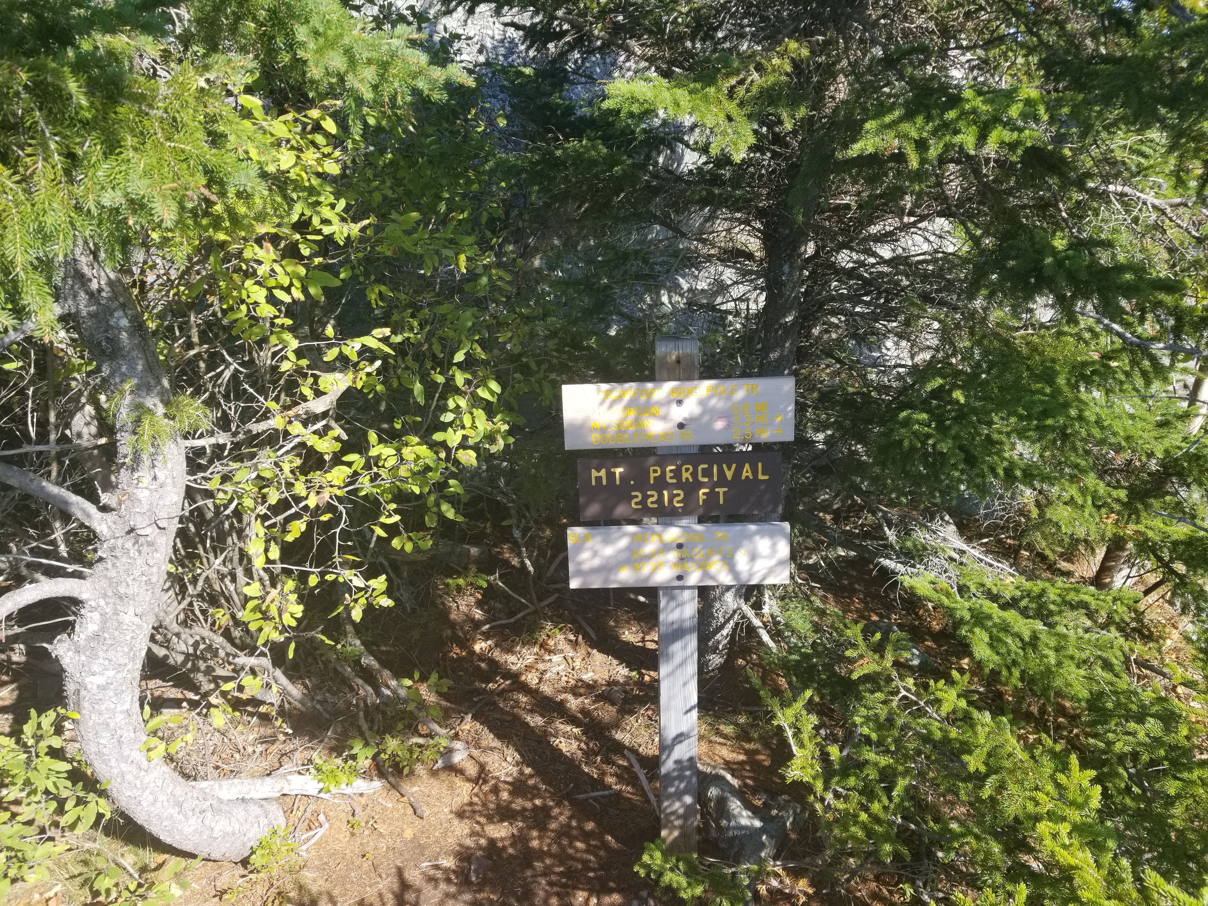 Summit sign, Mt. Percival