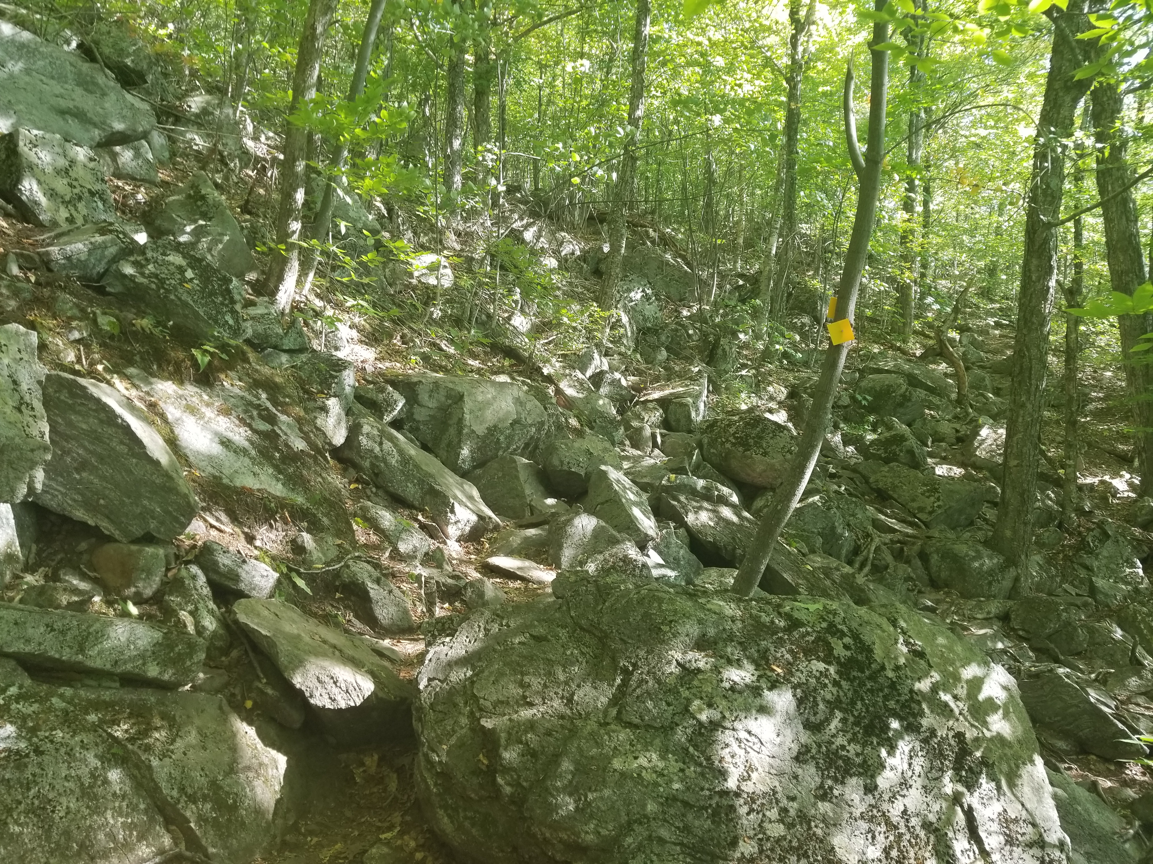 Rugged traverse on Percival