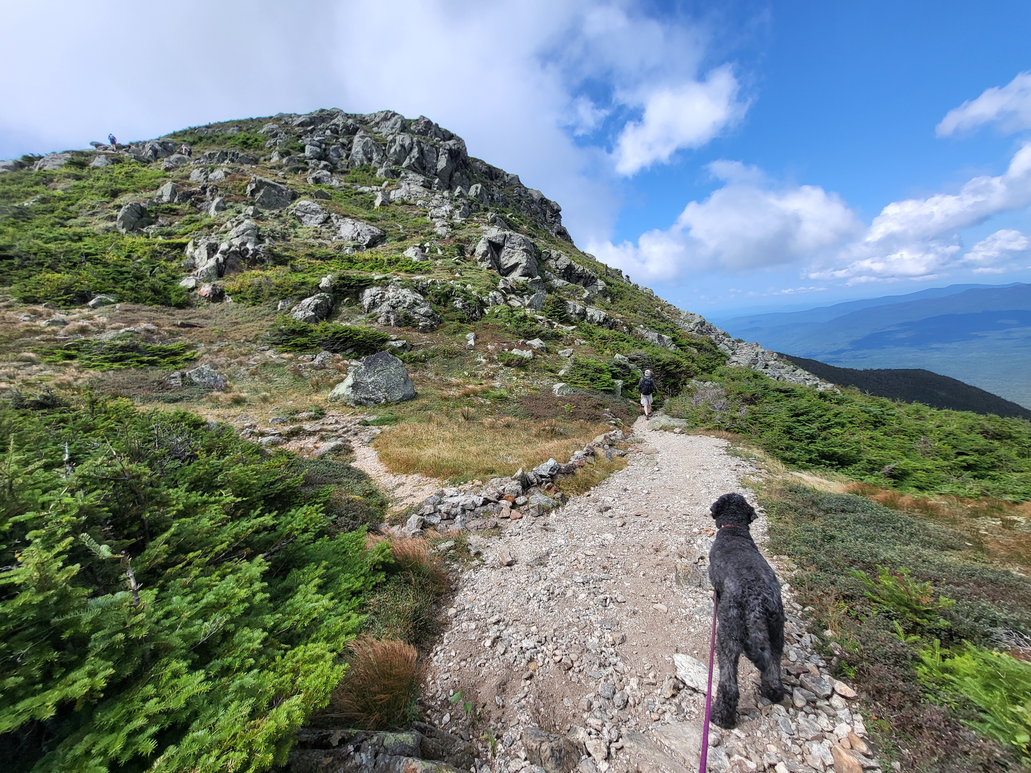 Lana eyeing the final ascent