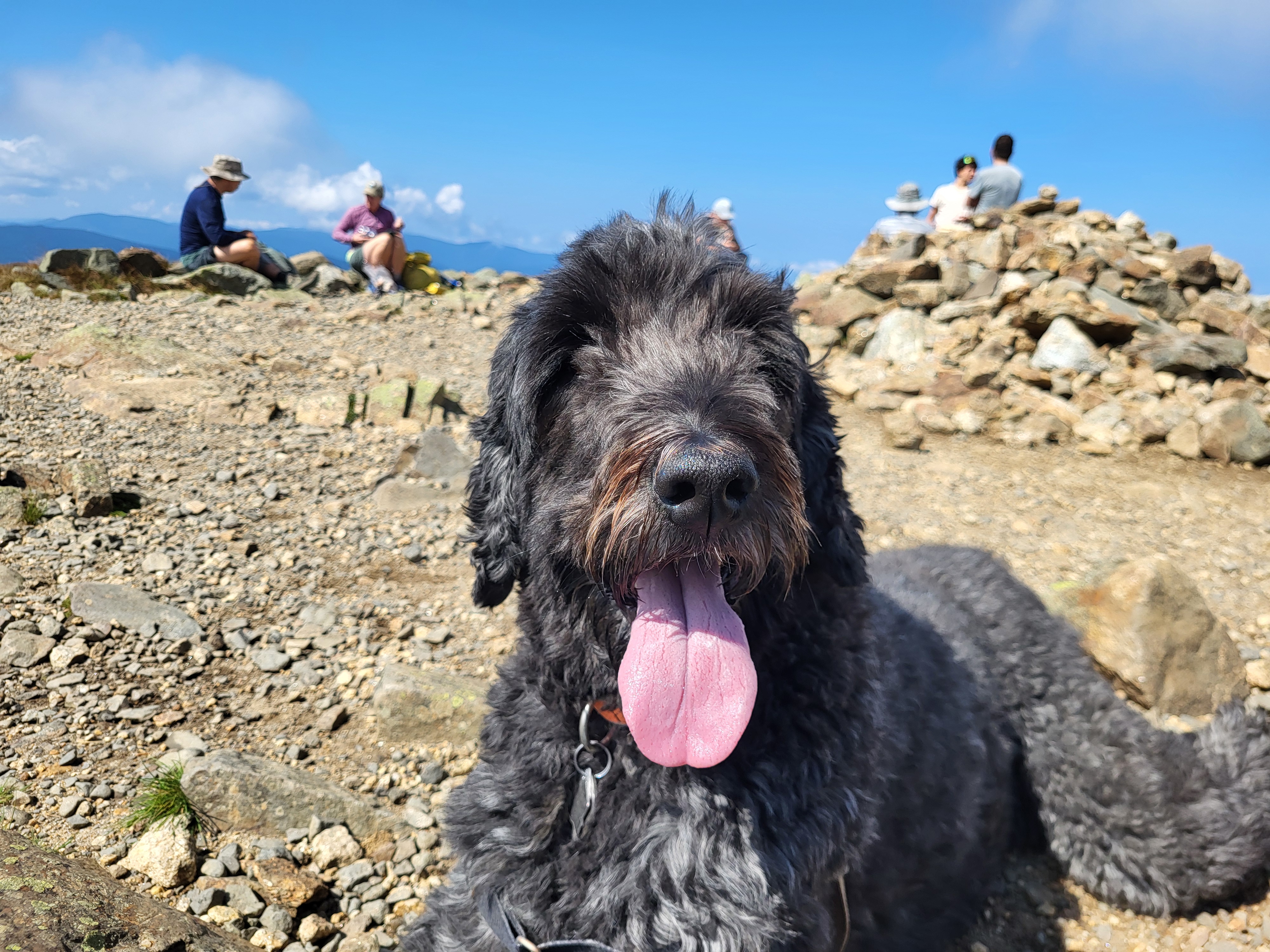 Lana laying at the summit