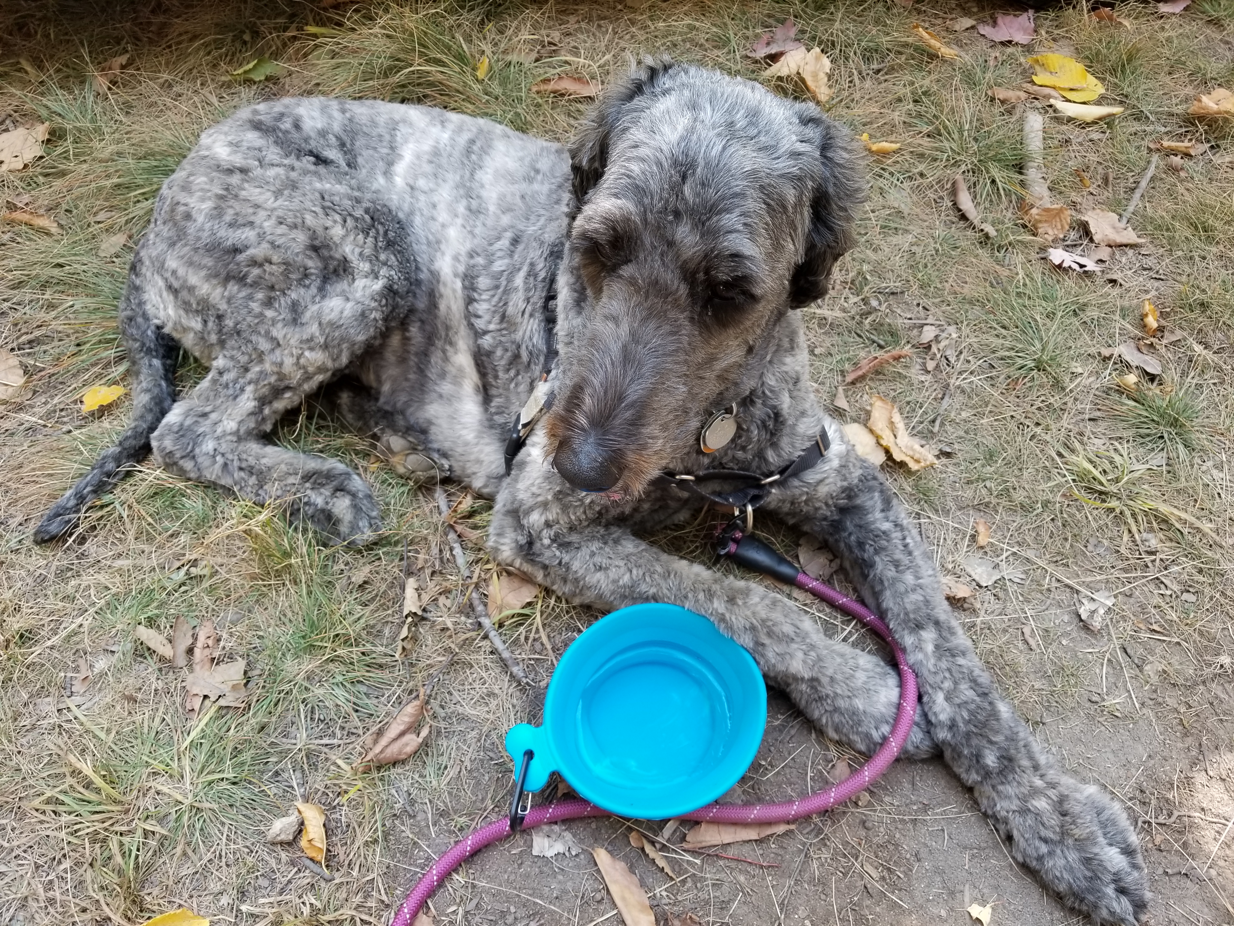 Lana resting after the hike