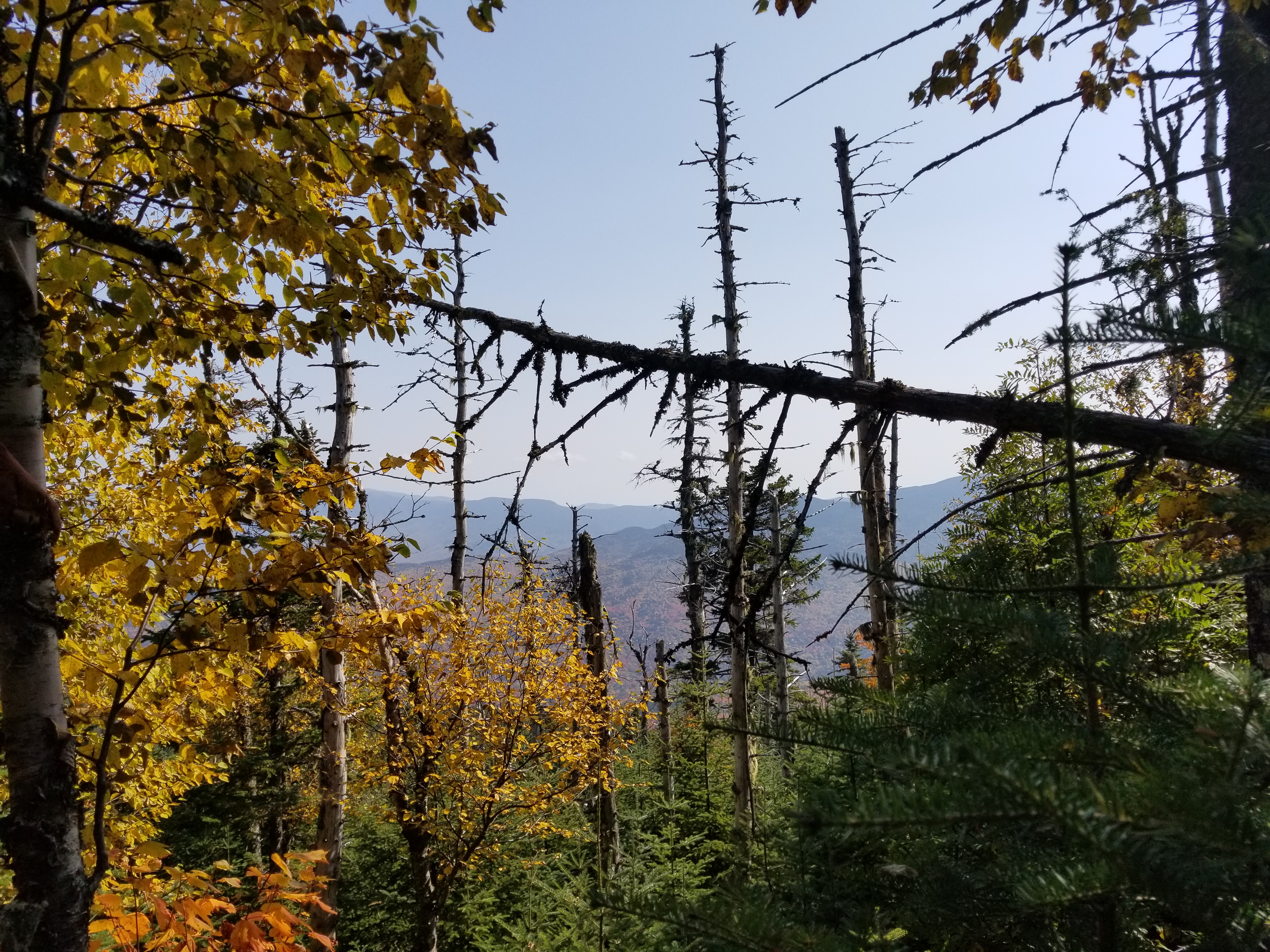 A glimpse of nearby peaks