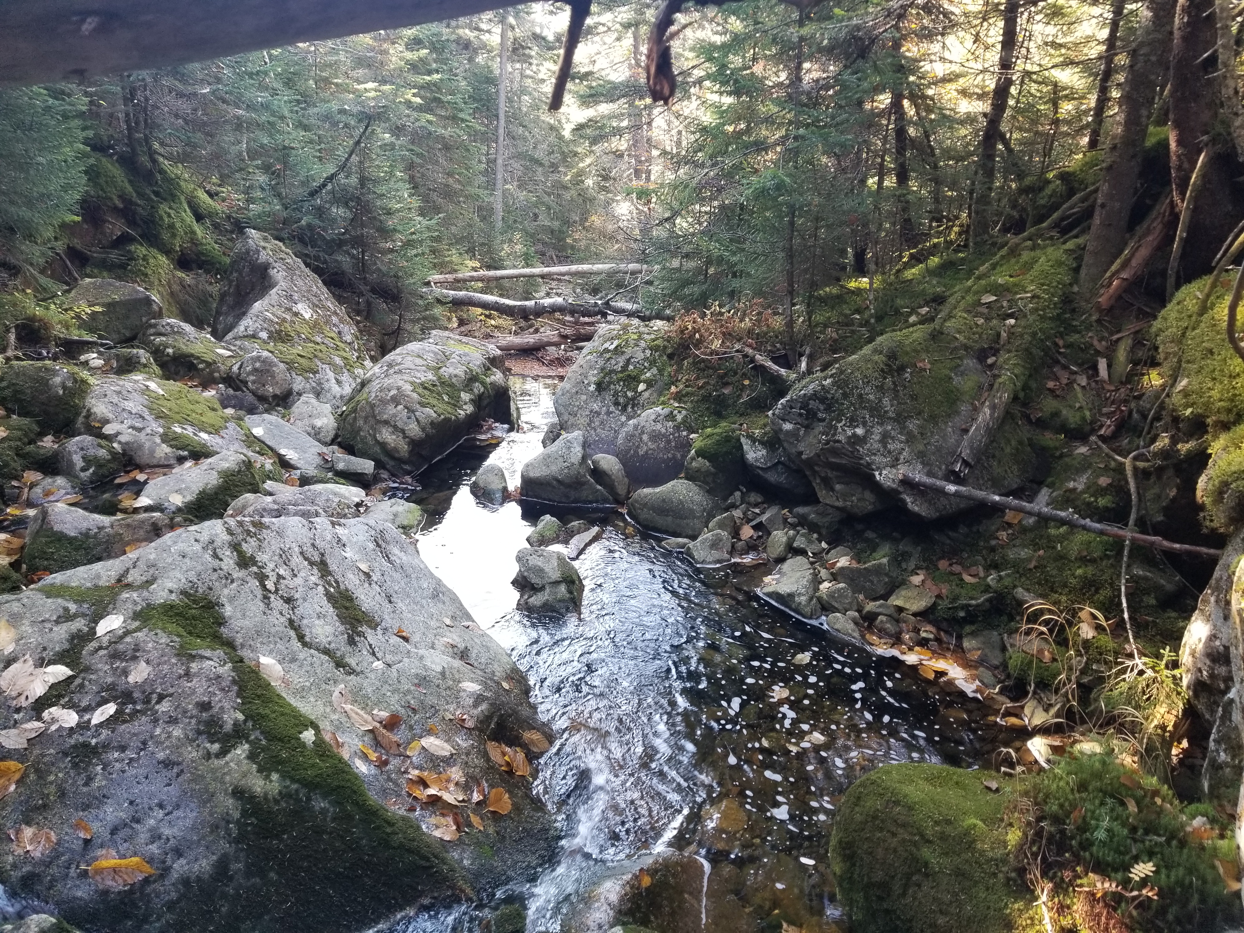 View of a mountain stream