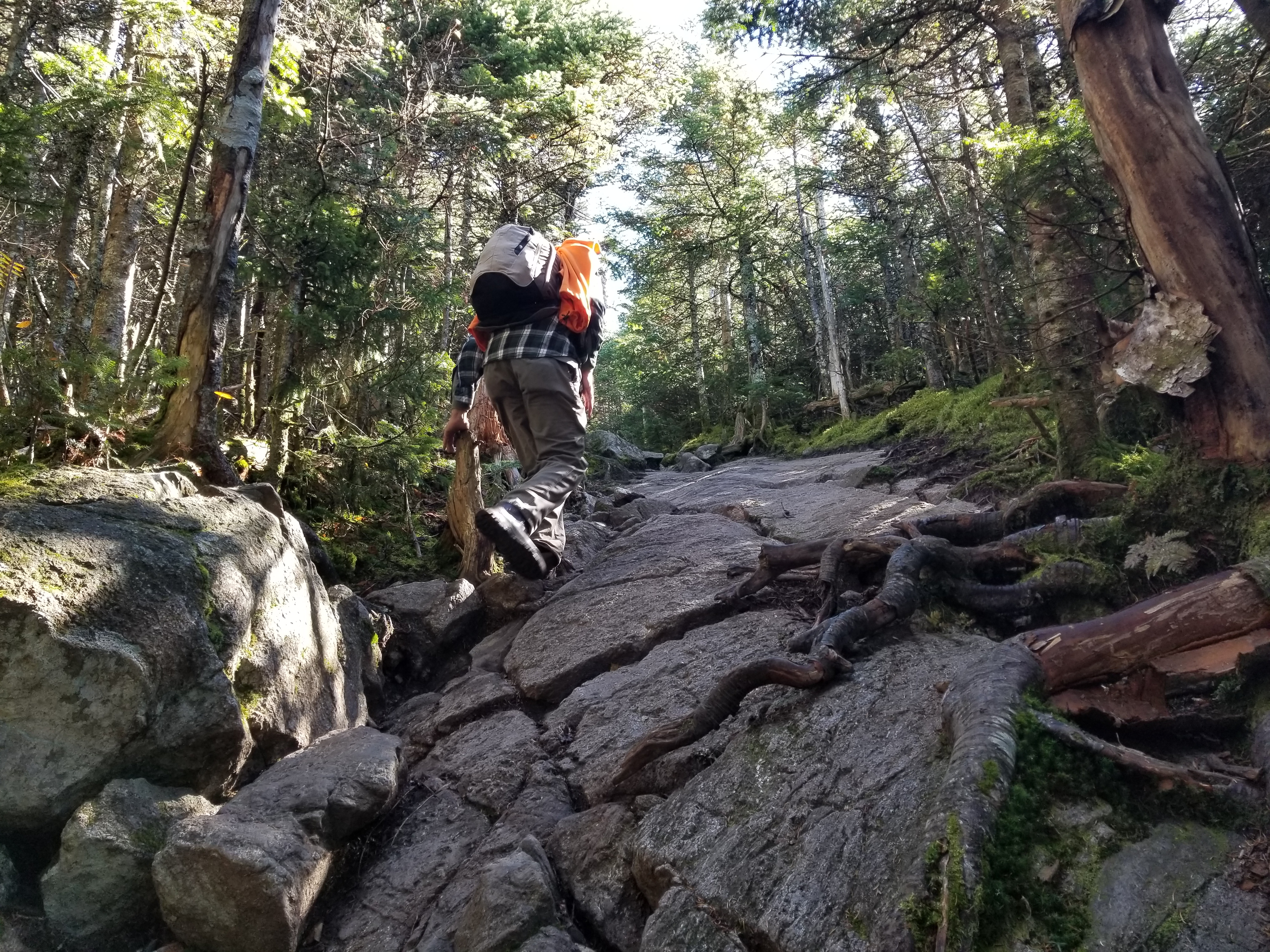 A steep scramble