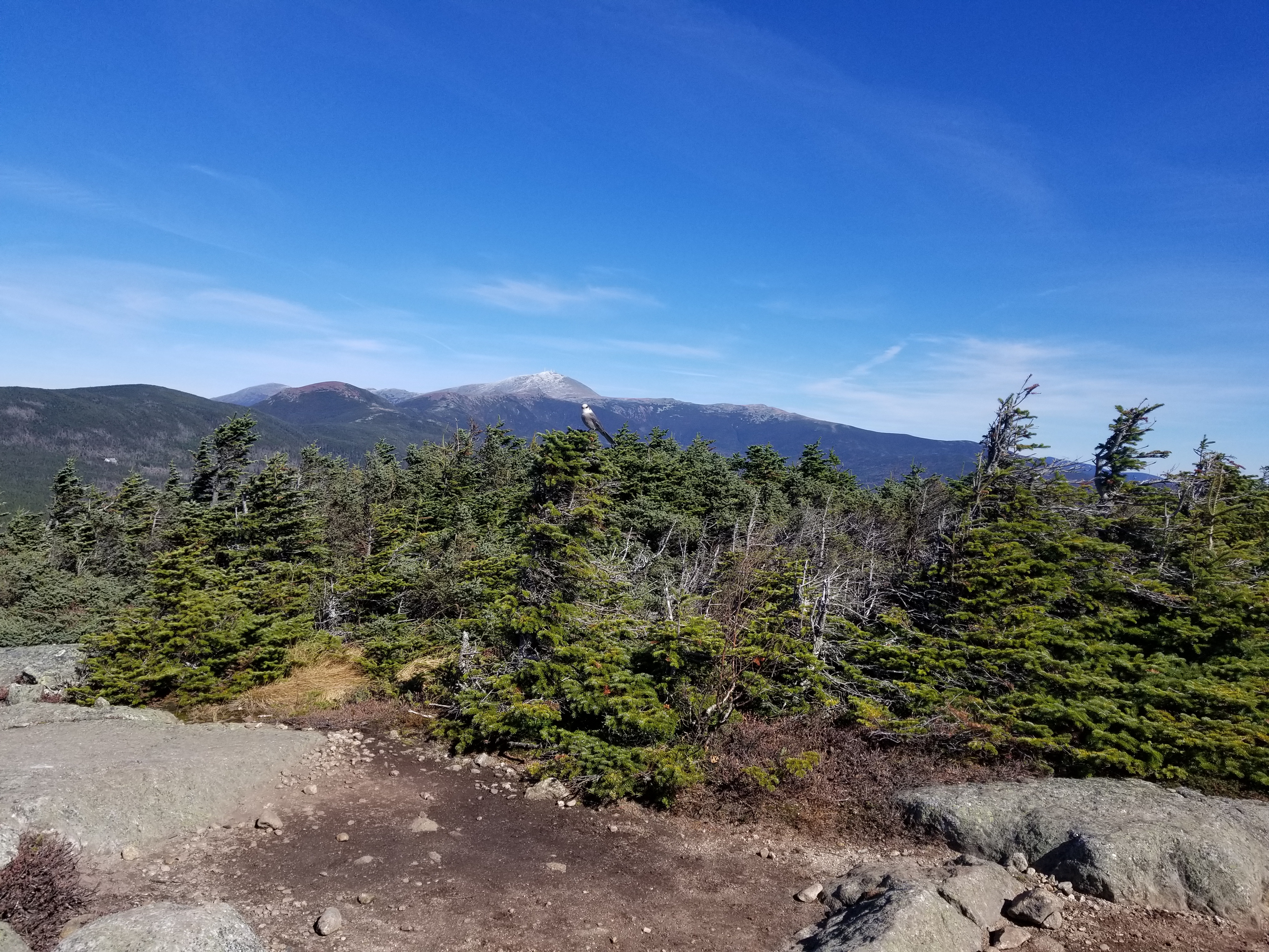 The view looking northeast