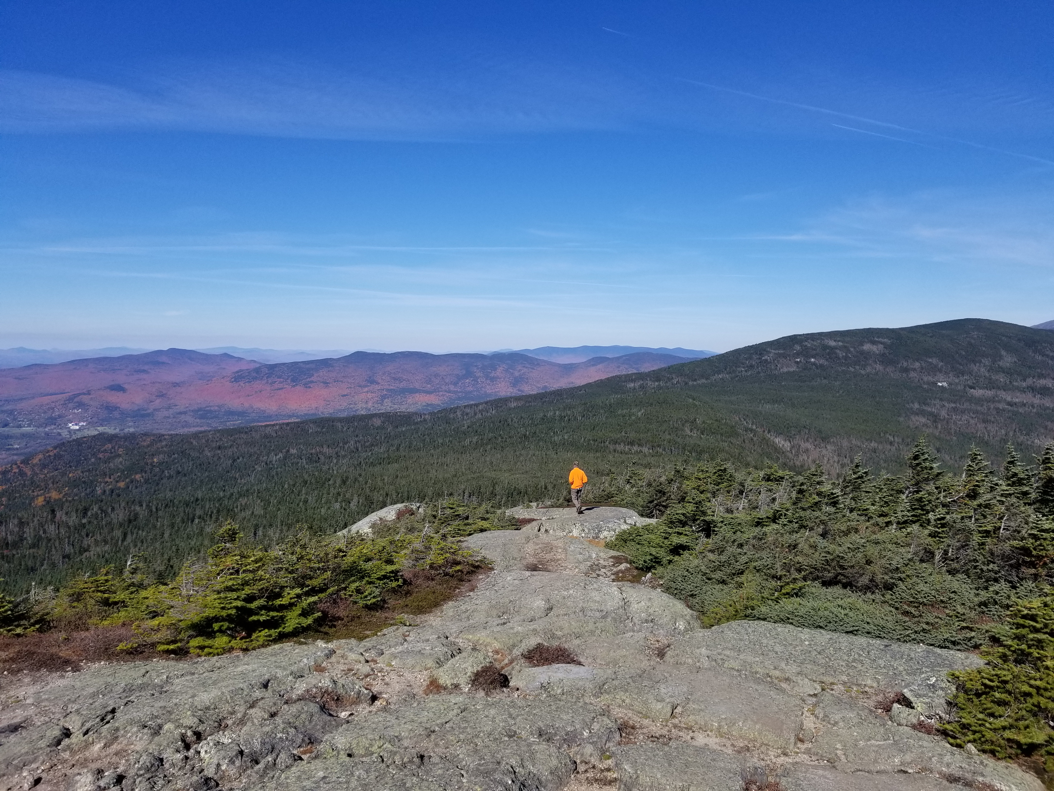 The view looking north