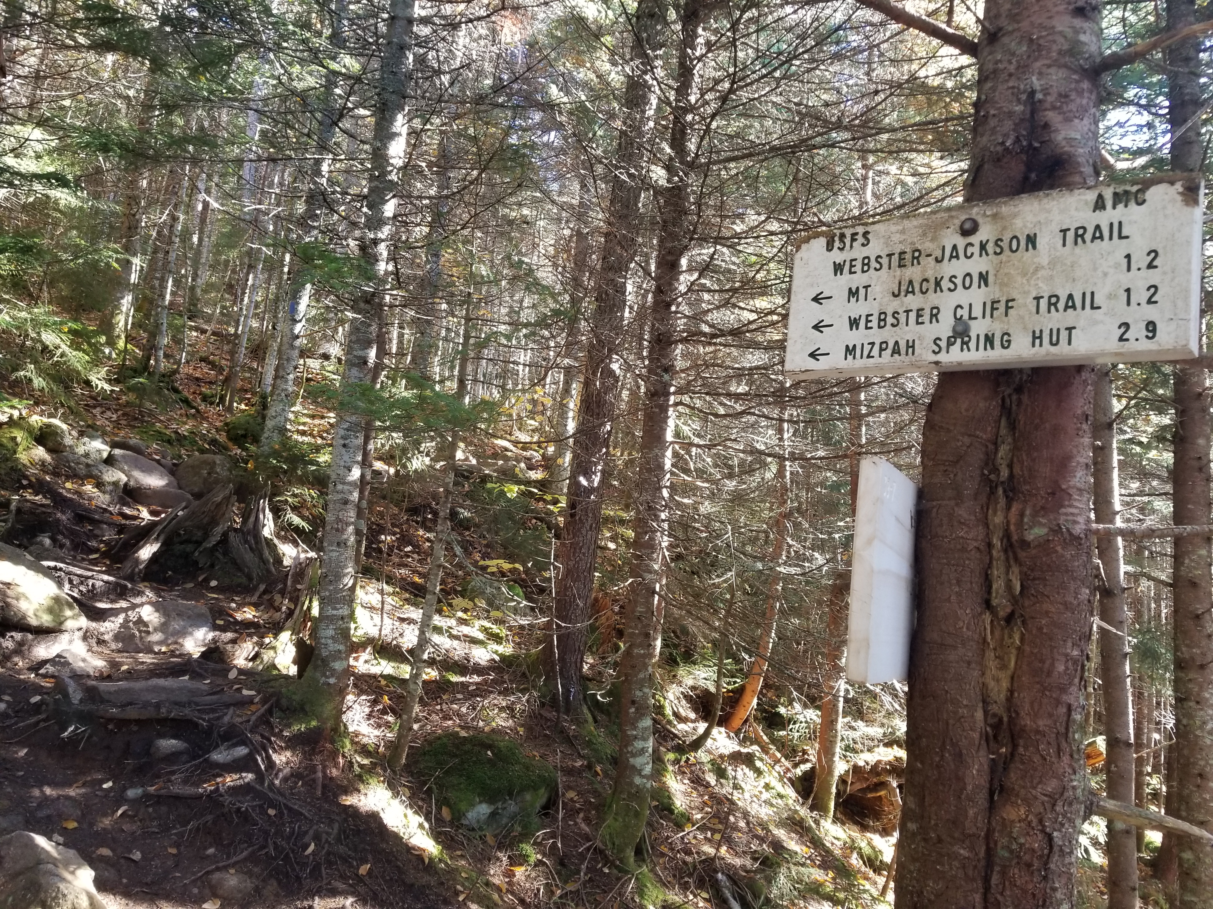 Trail split towards Mt. Webster