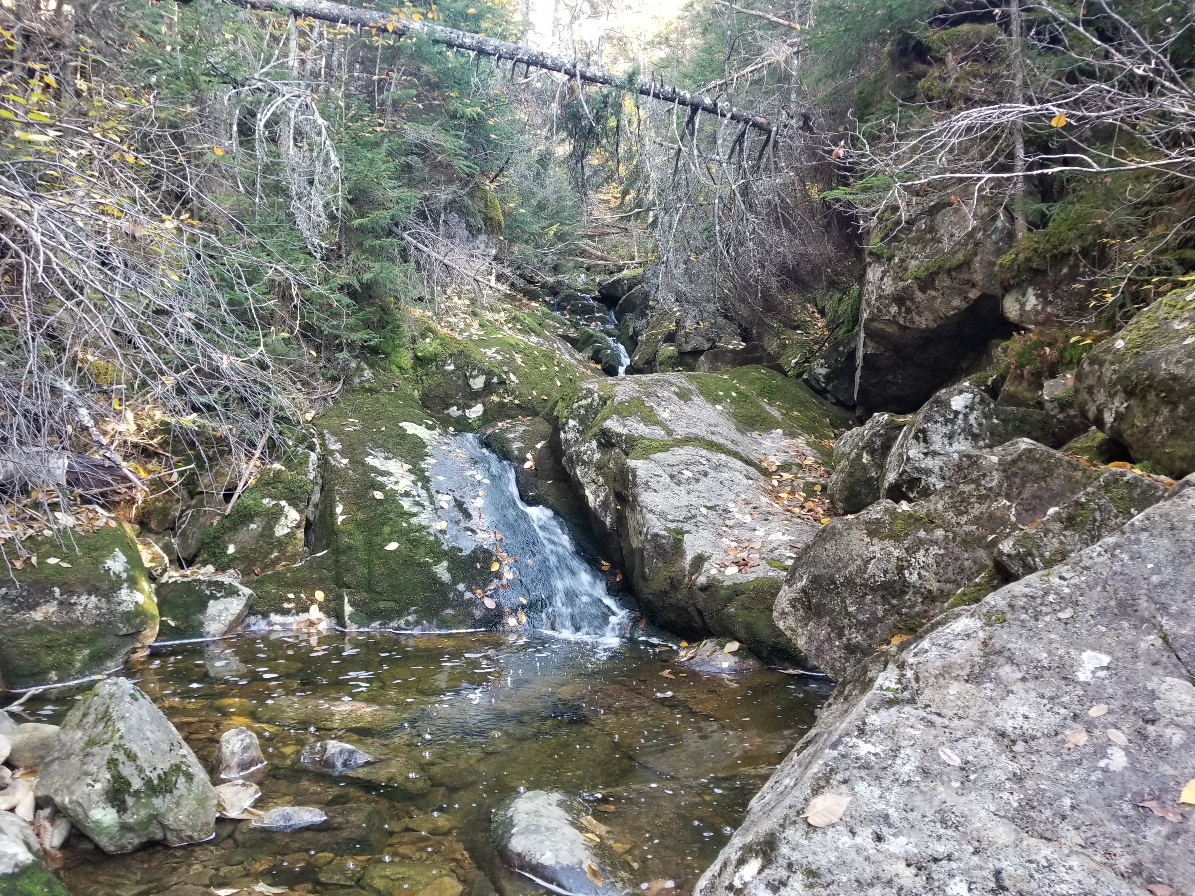 View of a mountain stream