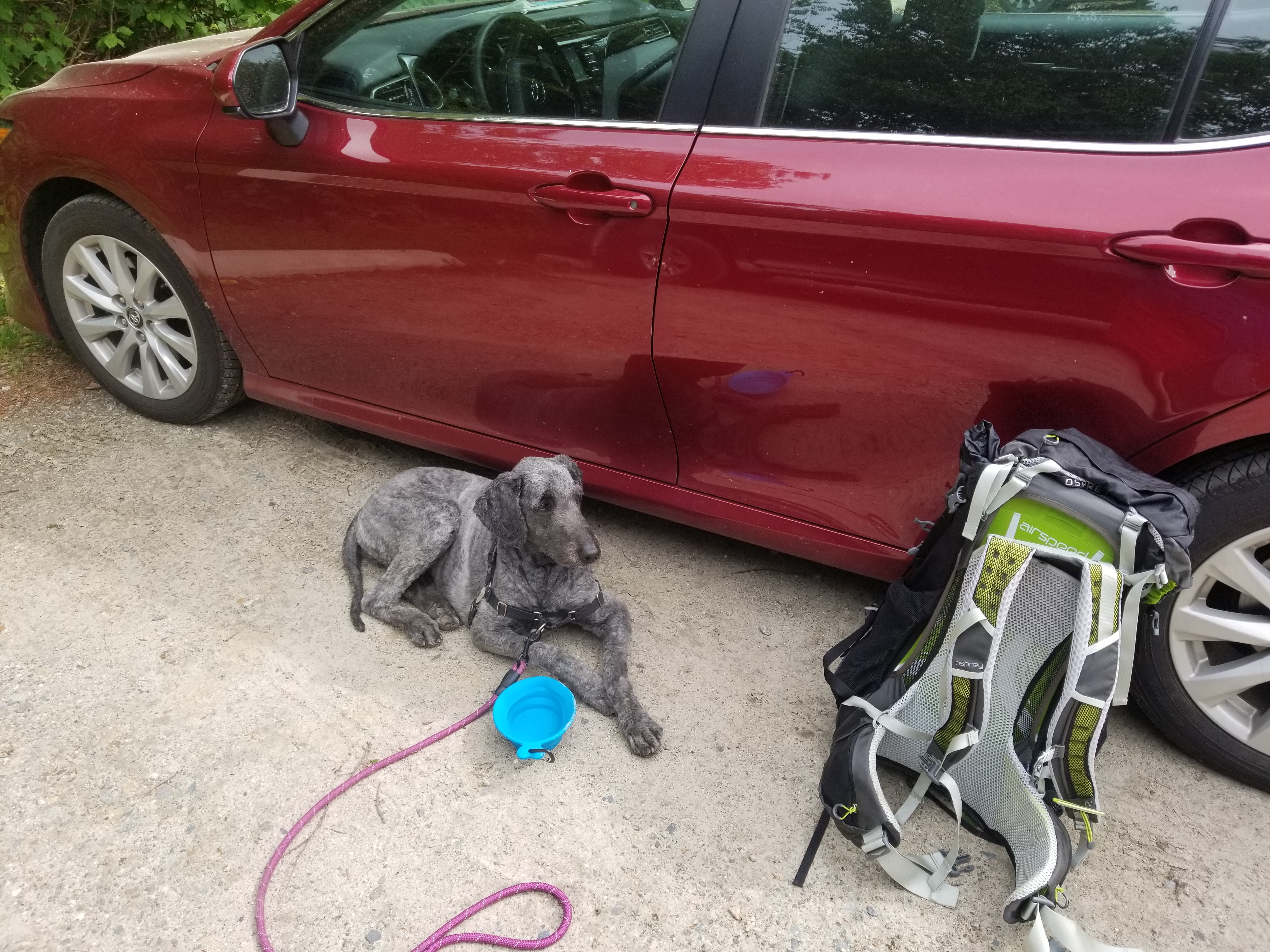 Lana resting after a long hike