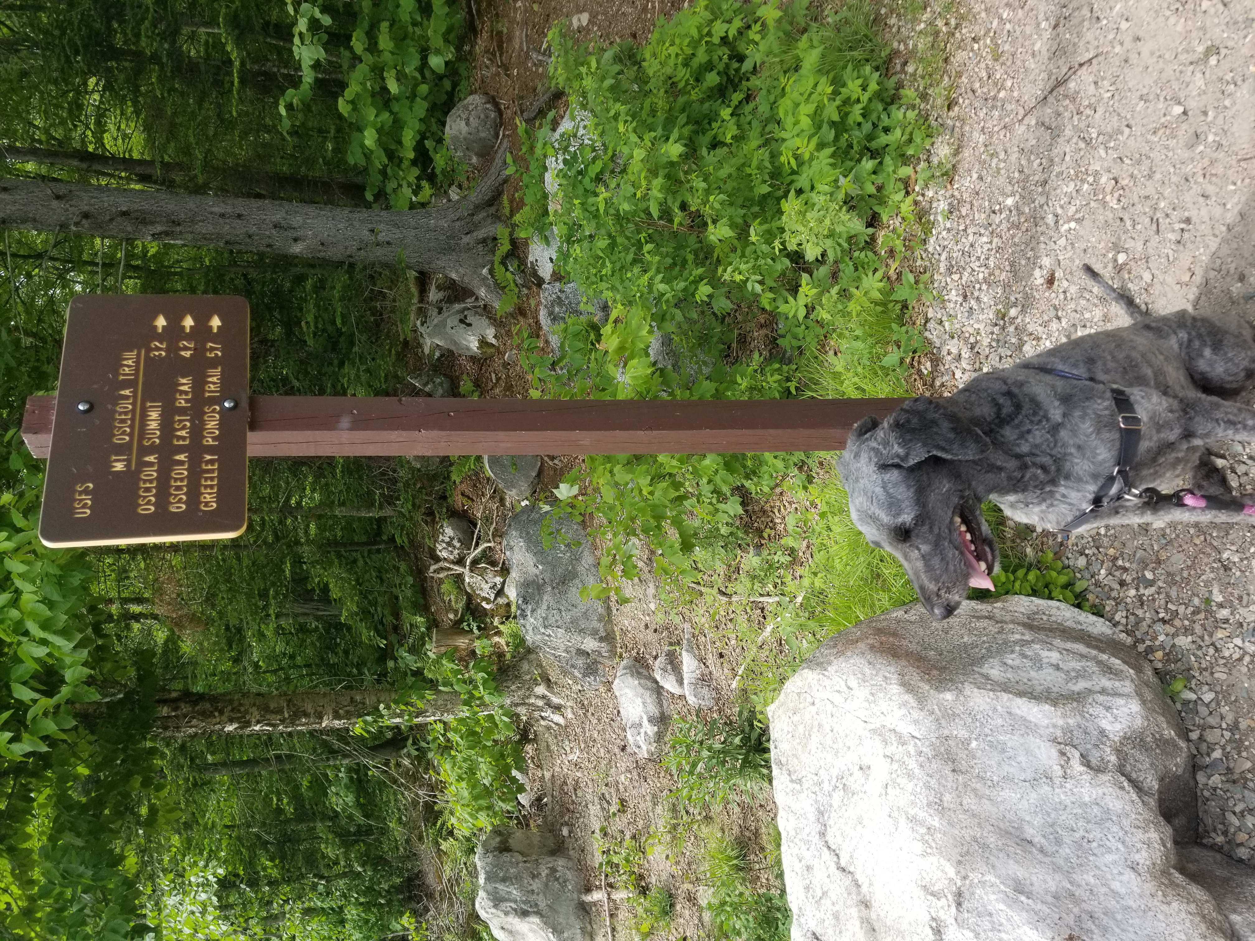 Trailhead Sign