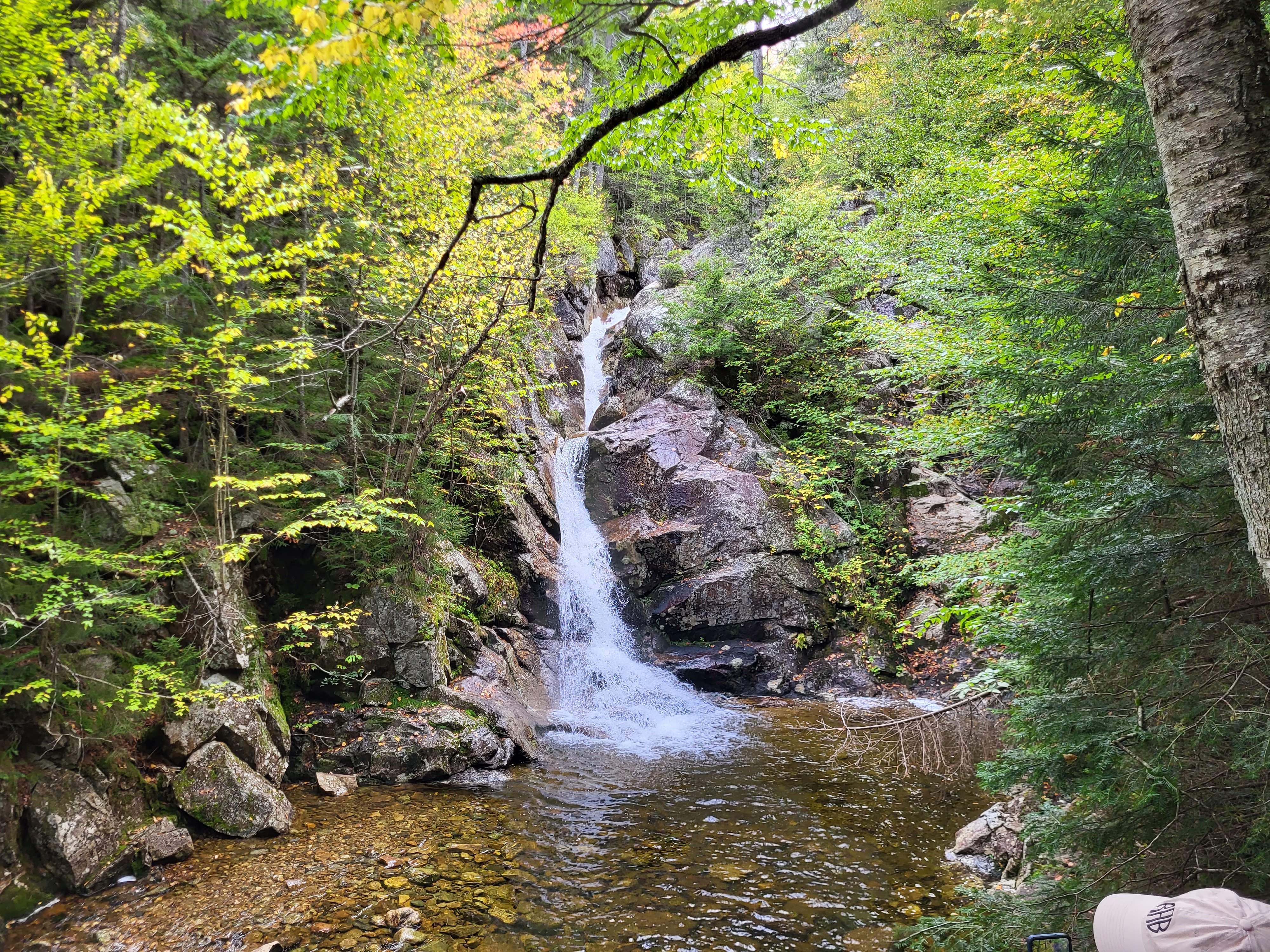 Gibbs falls