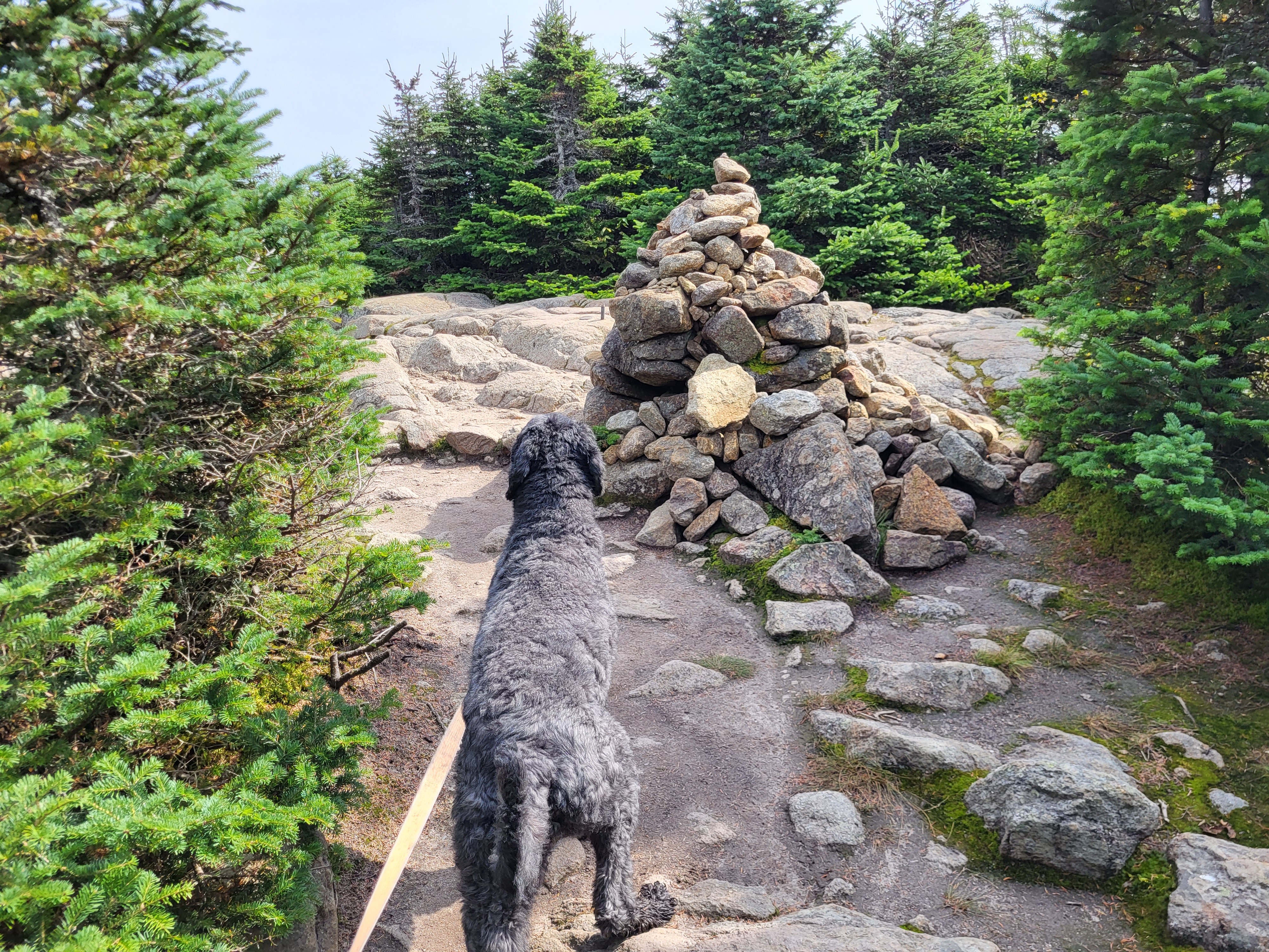 Lana at the summit