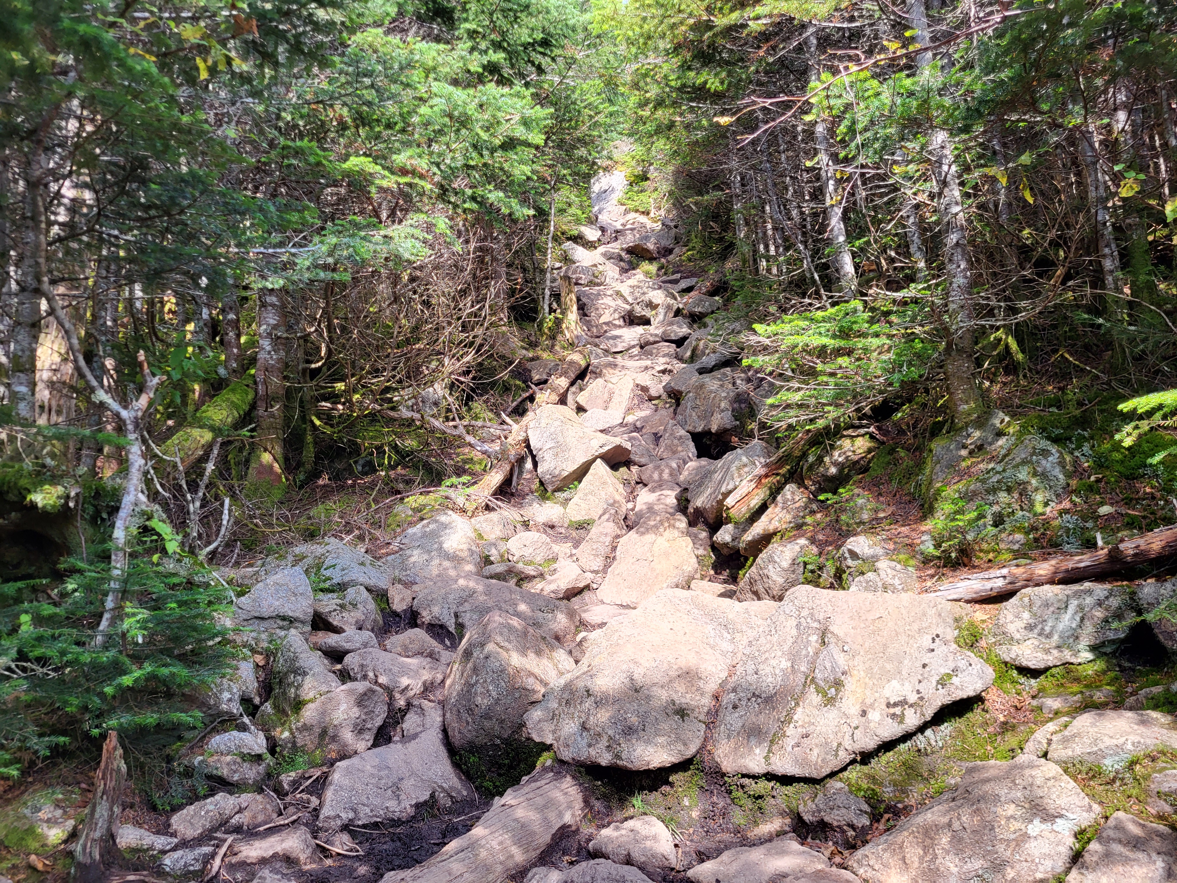 Steep rocky section above the hut