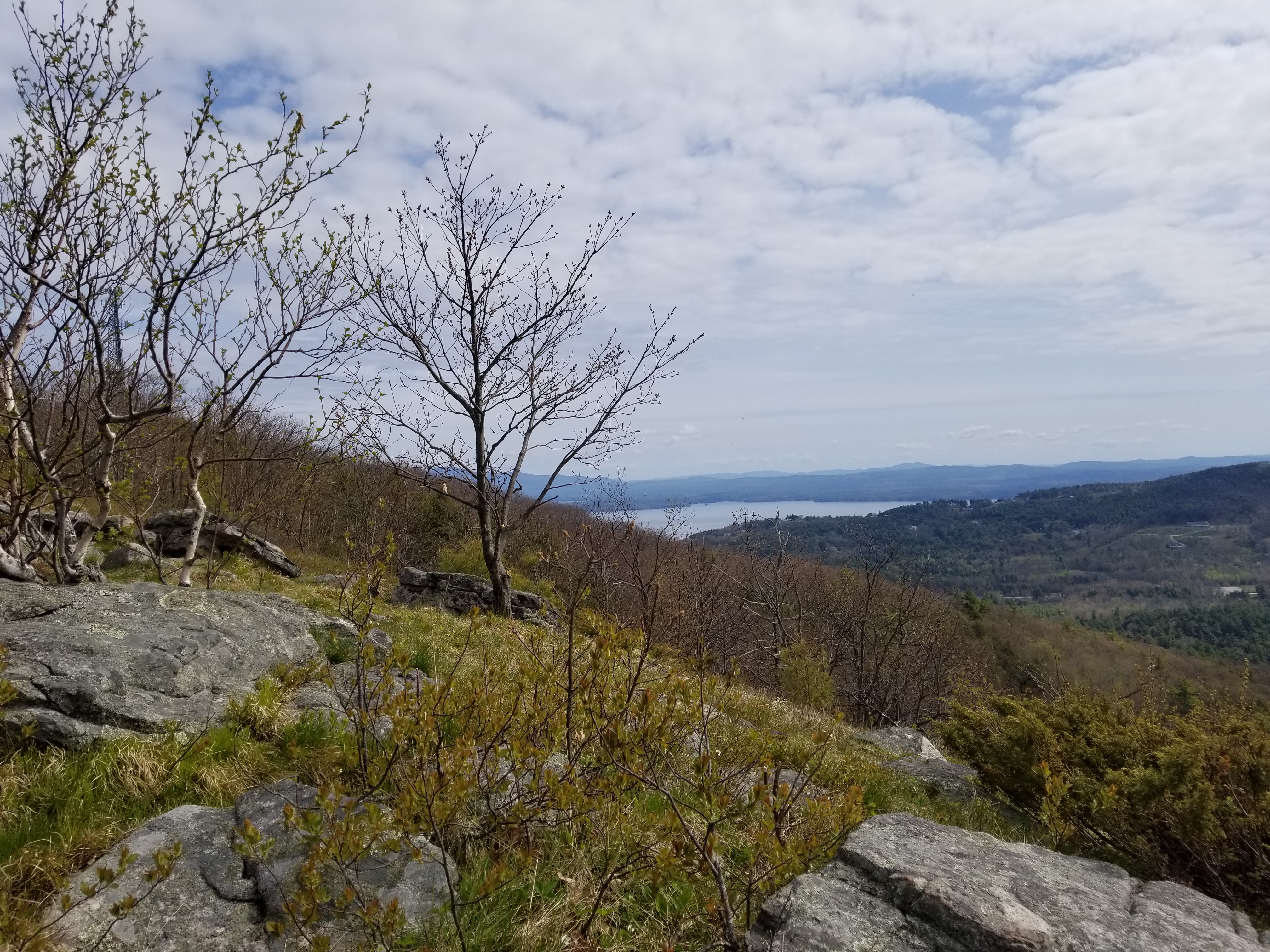 Summit pic 1