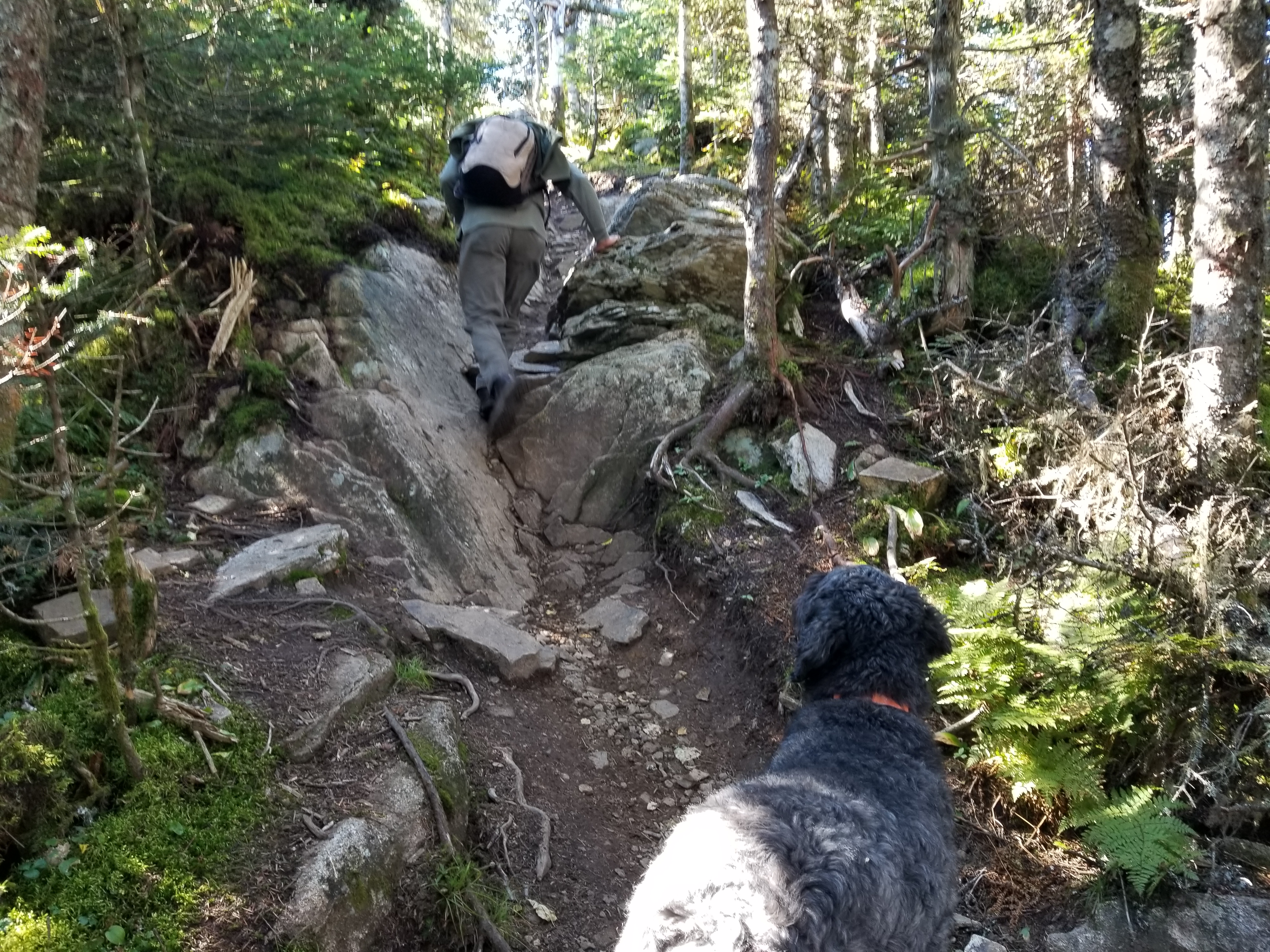 The small rock scramble