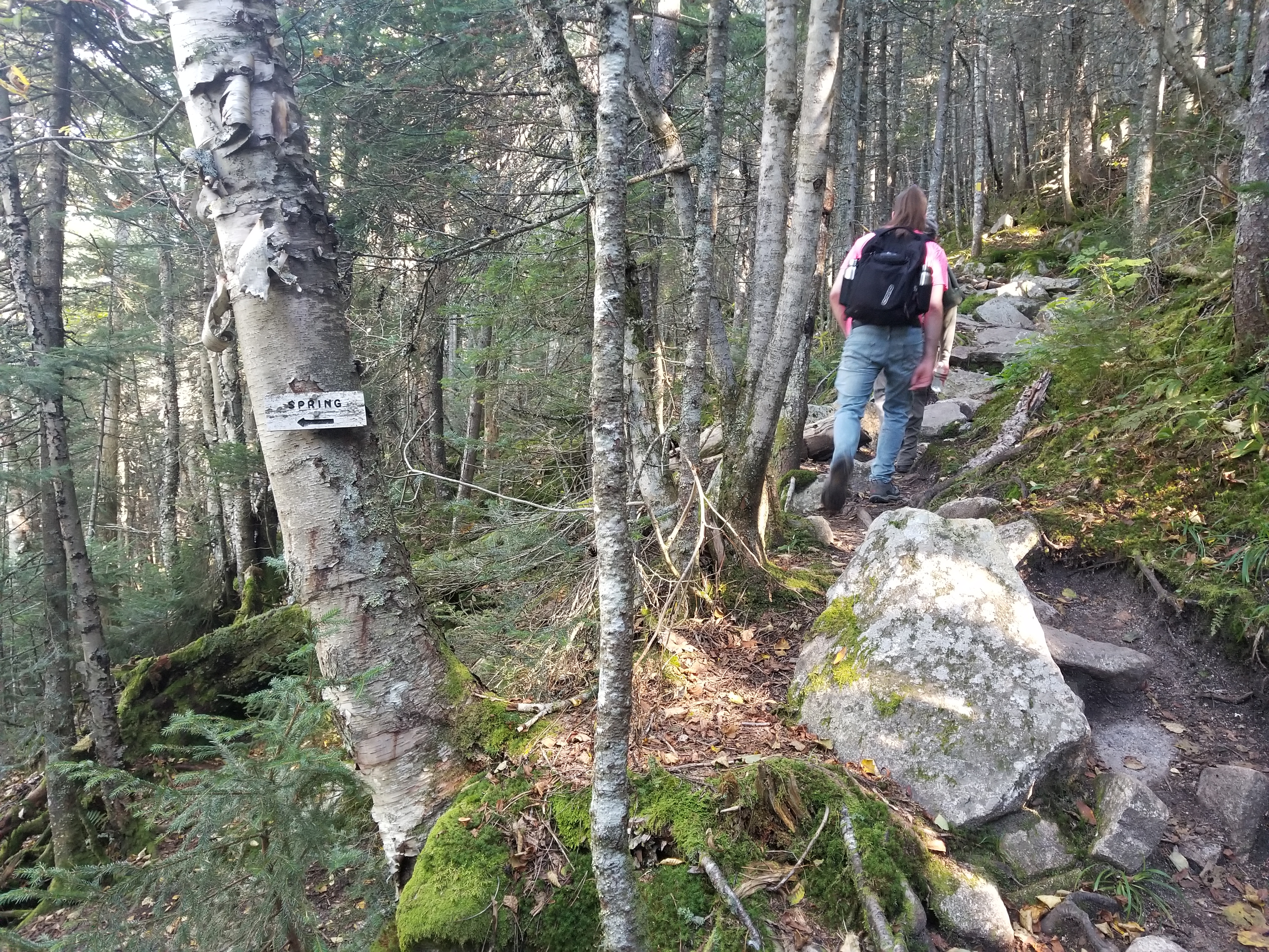Small wooden sign for the spring