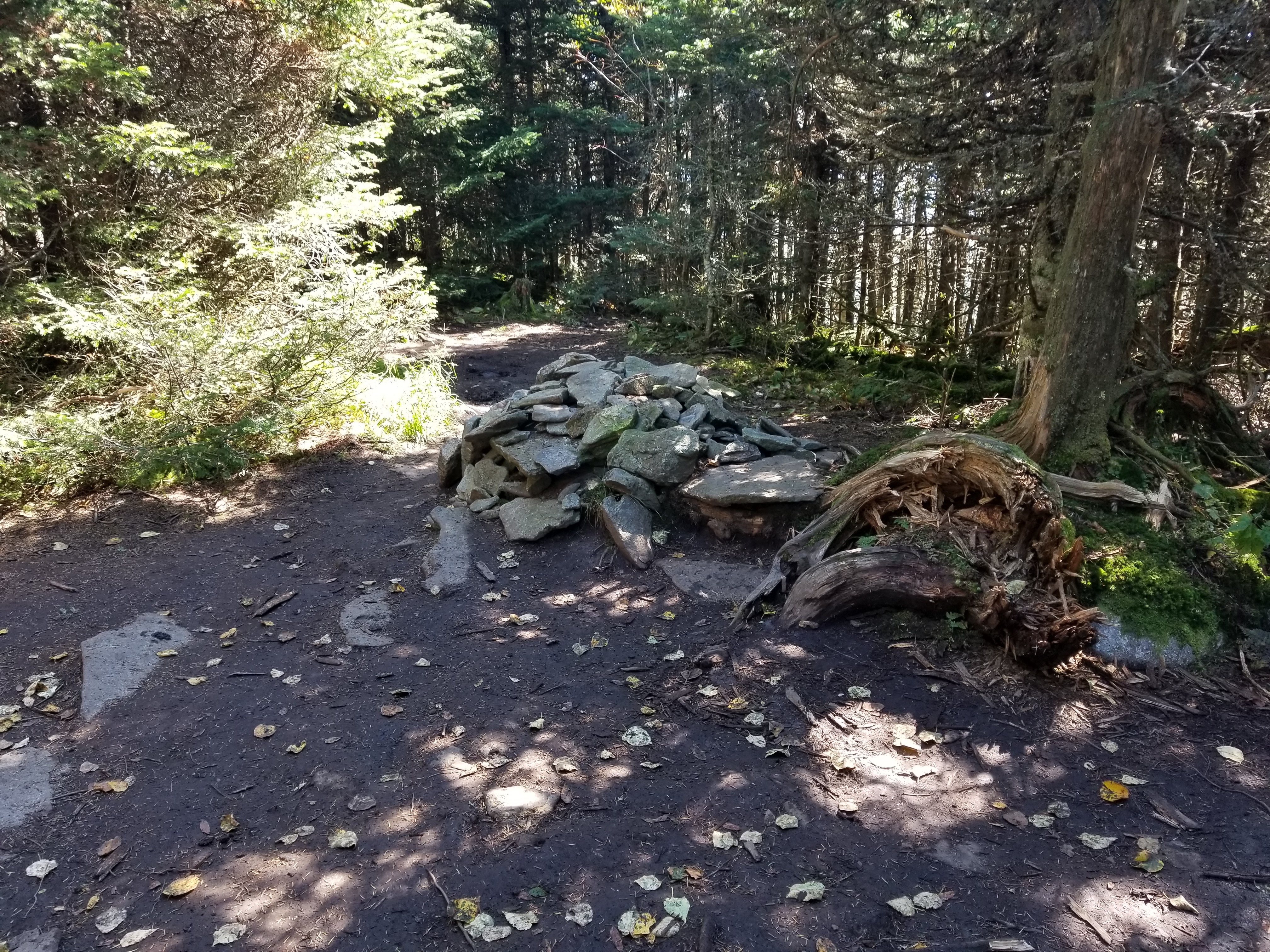 The Waumbek summit cairn