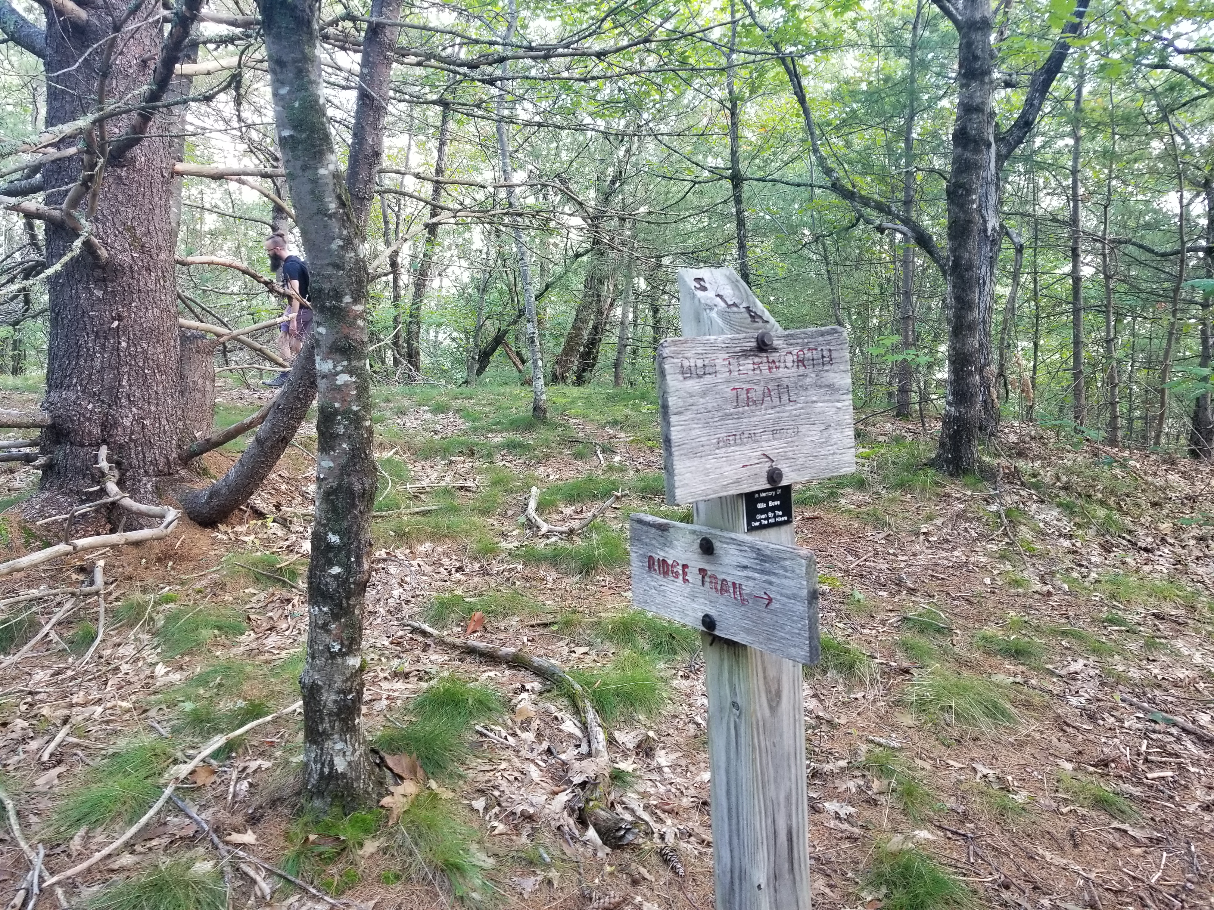 The uninteresting true summit