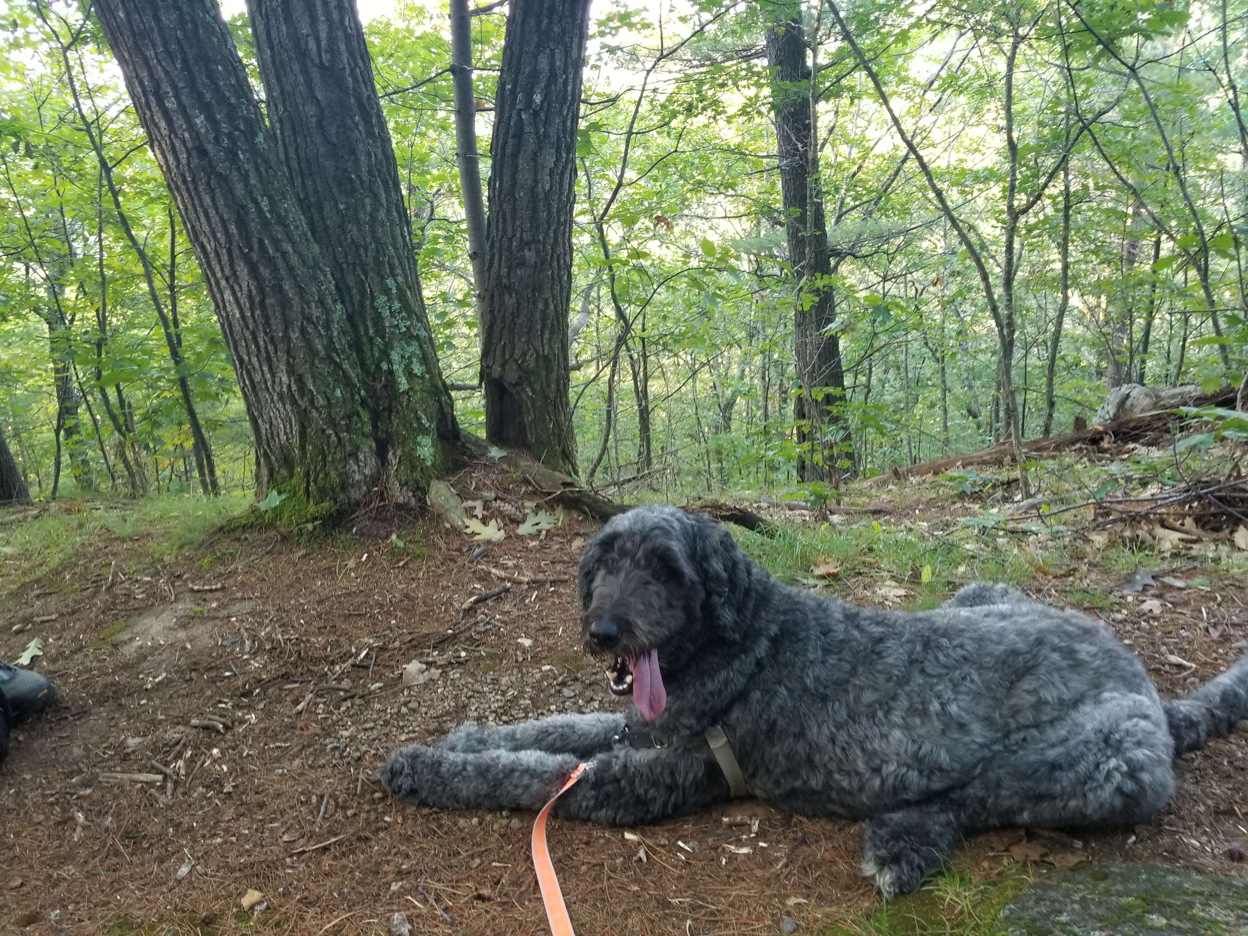Lana taking a breather halfway up