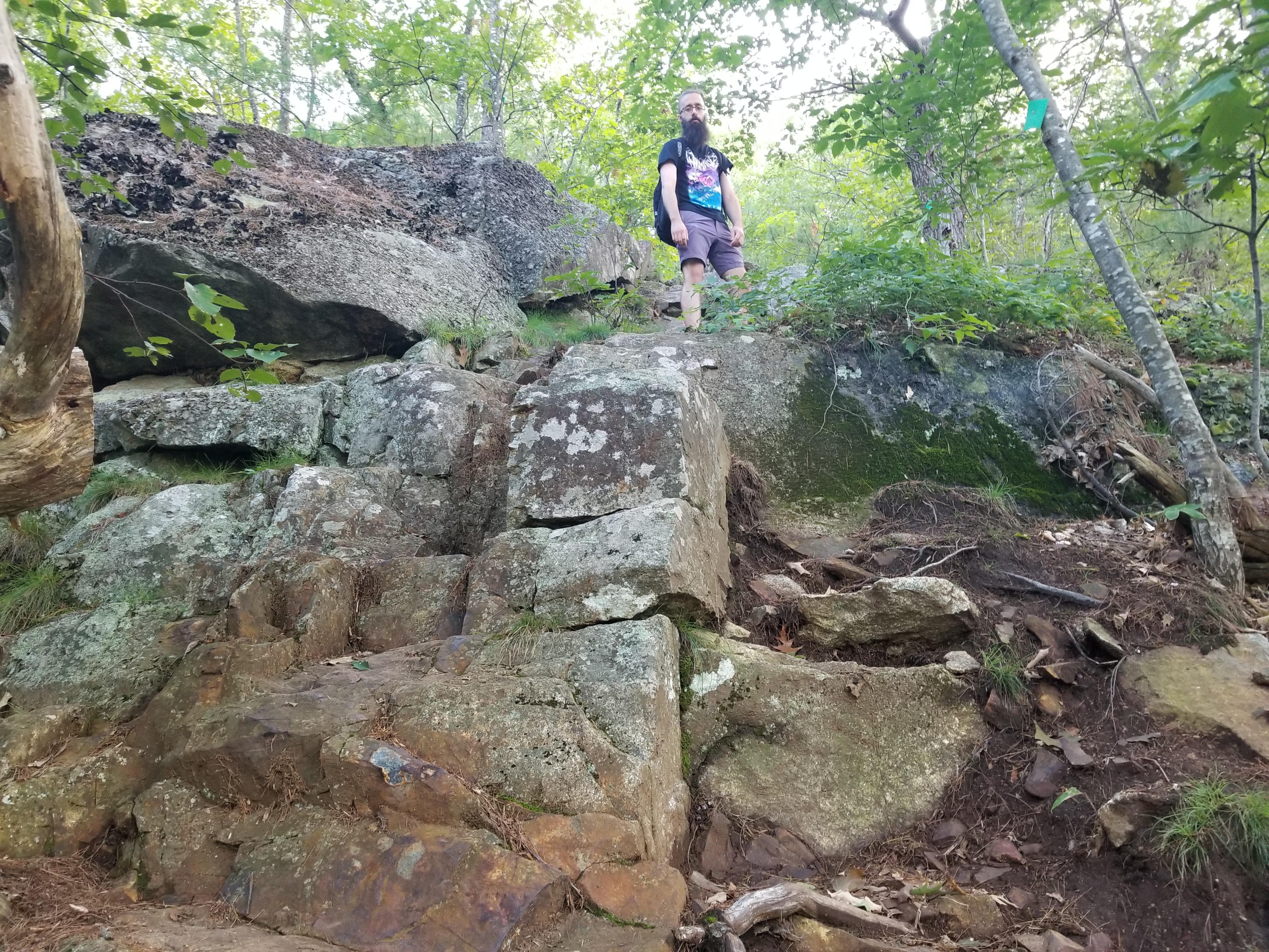 Some steep ledges on the Ramsey Trail
